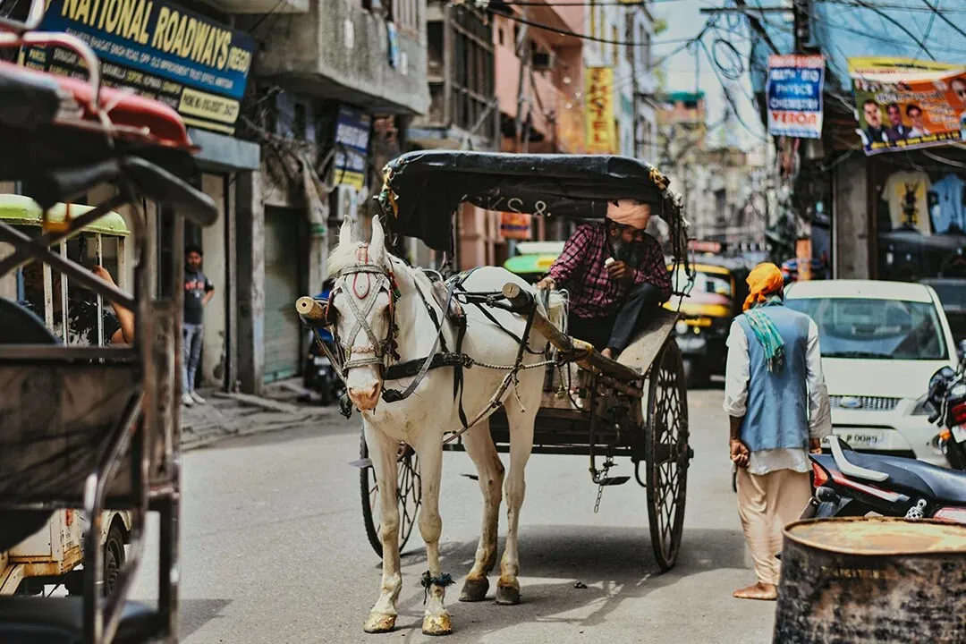 A horse-drawn tonga in an Old Delhi street
