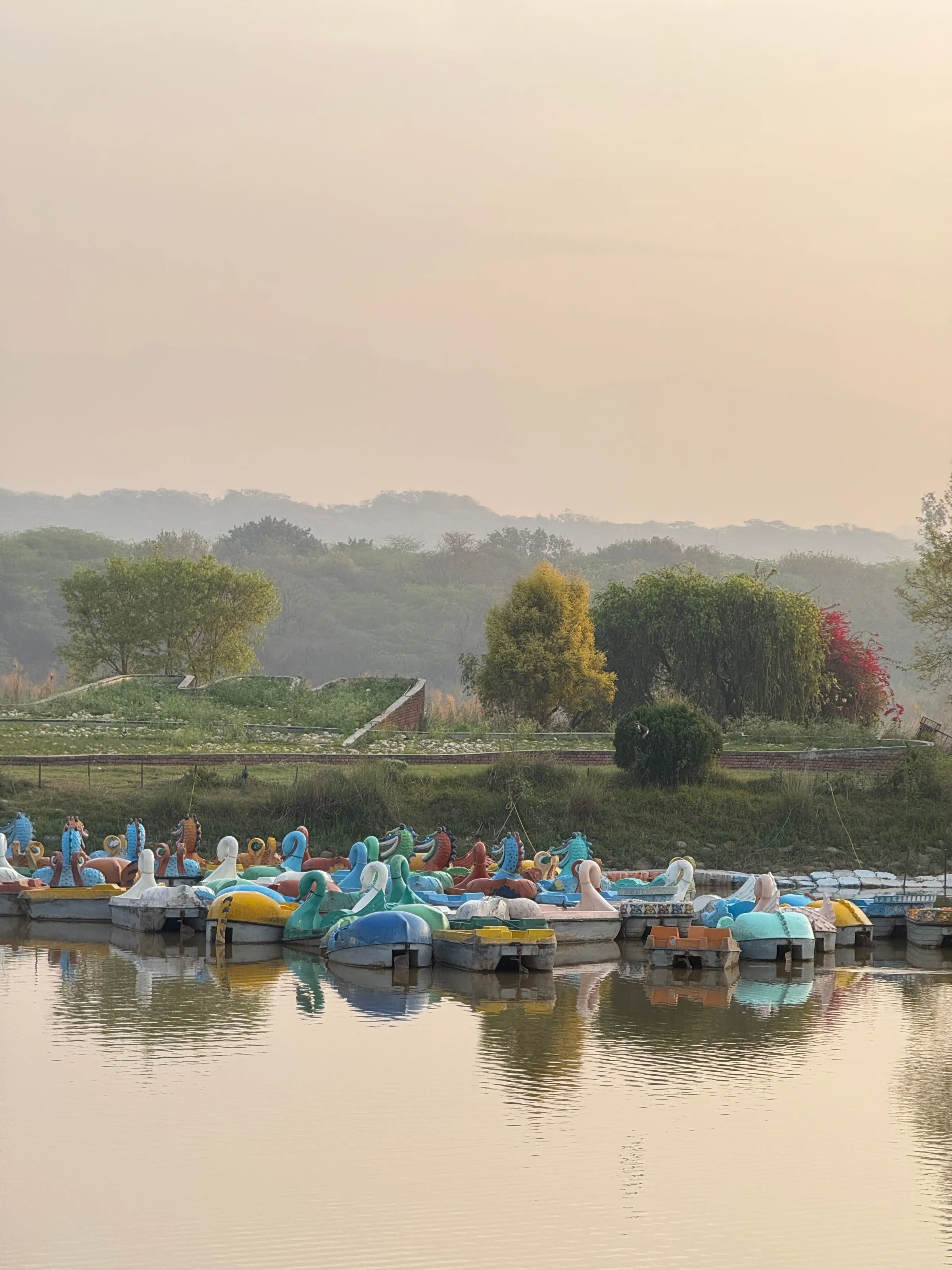 Pedal boats moored on Sukhna Lake, Chandigarh