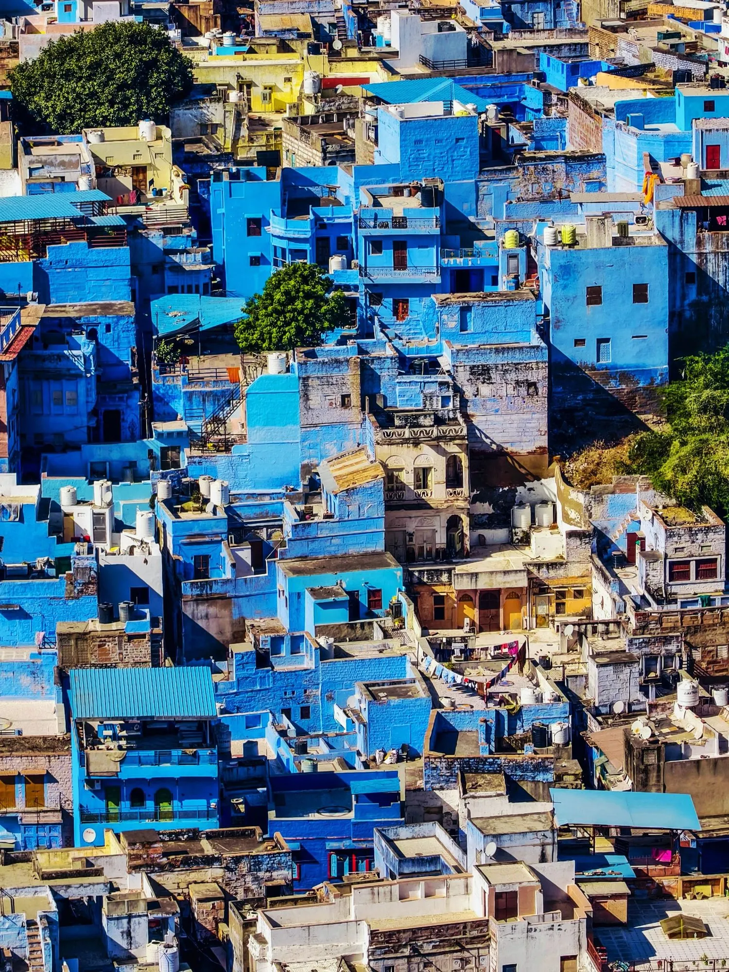 The blue houses of Jodhpur