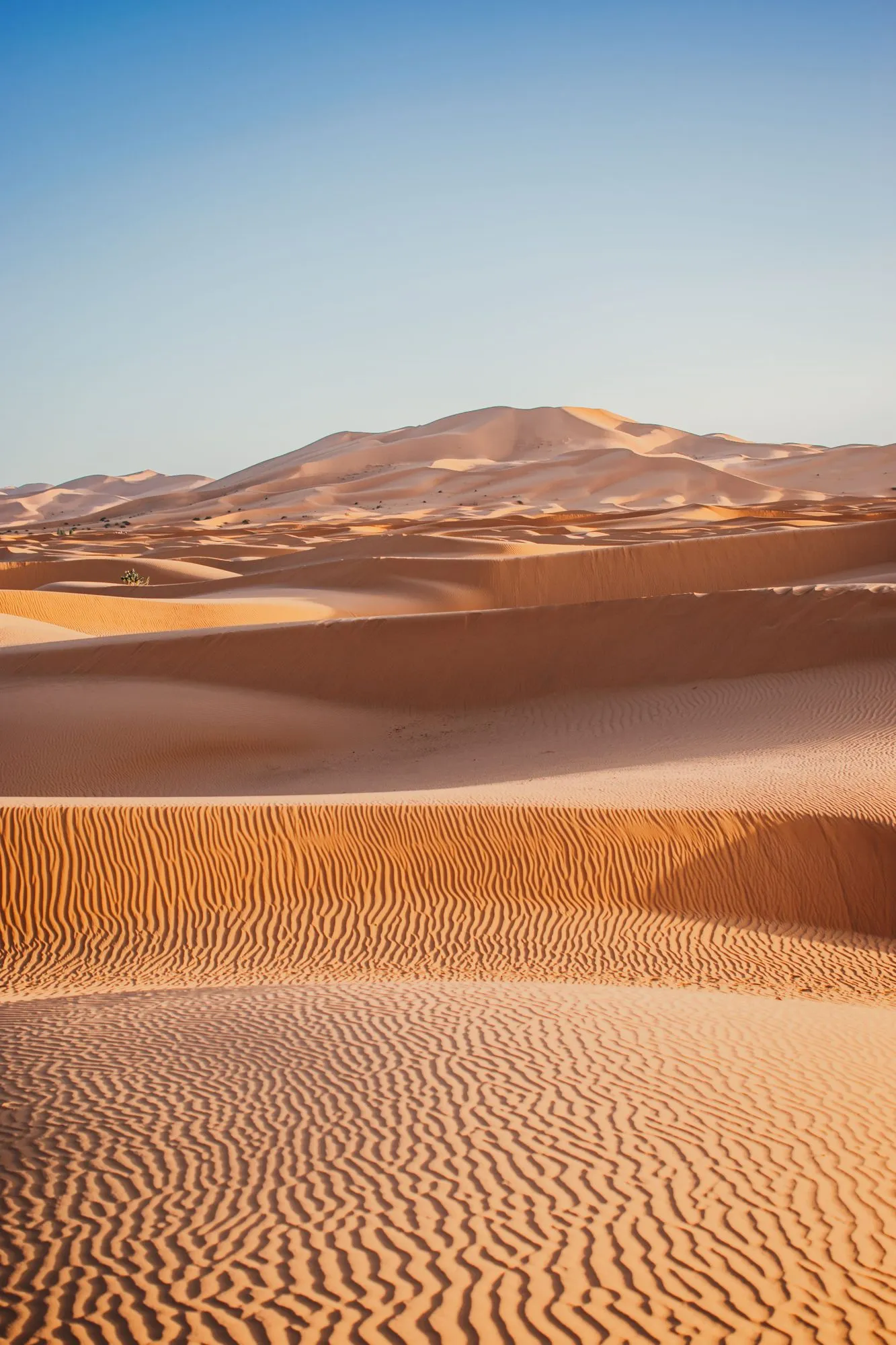 Ridged sand dunes of the Thar in low sun