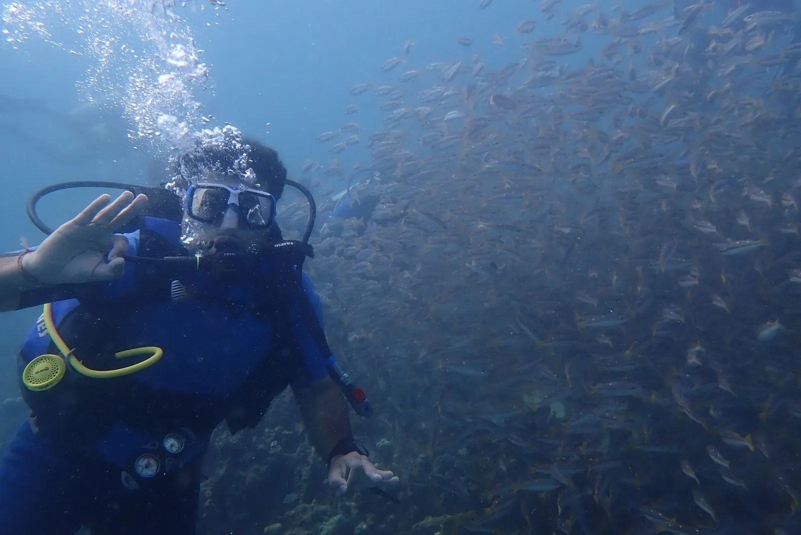 A diver among a shoal of small fish in the Andaman Islands