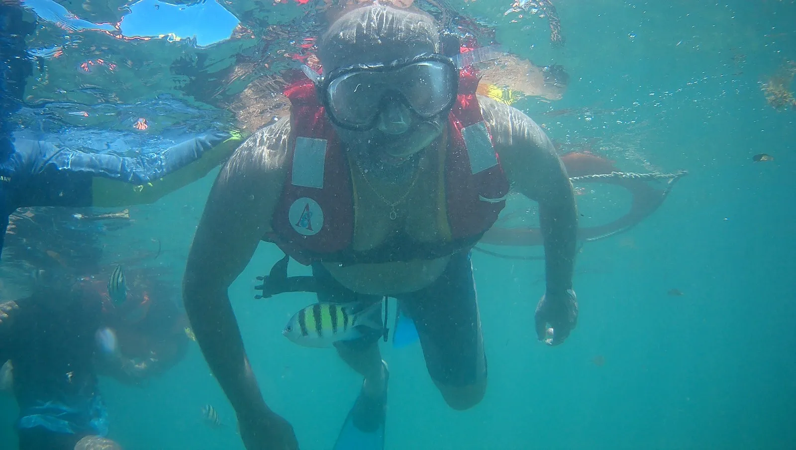 A snorkeller over the reef at Elephant Beach, Havelock, fish around him