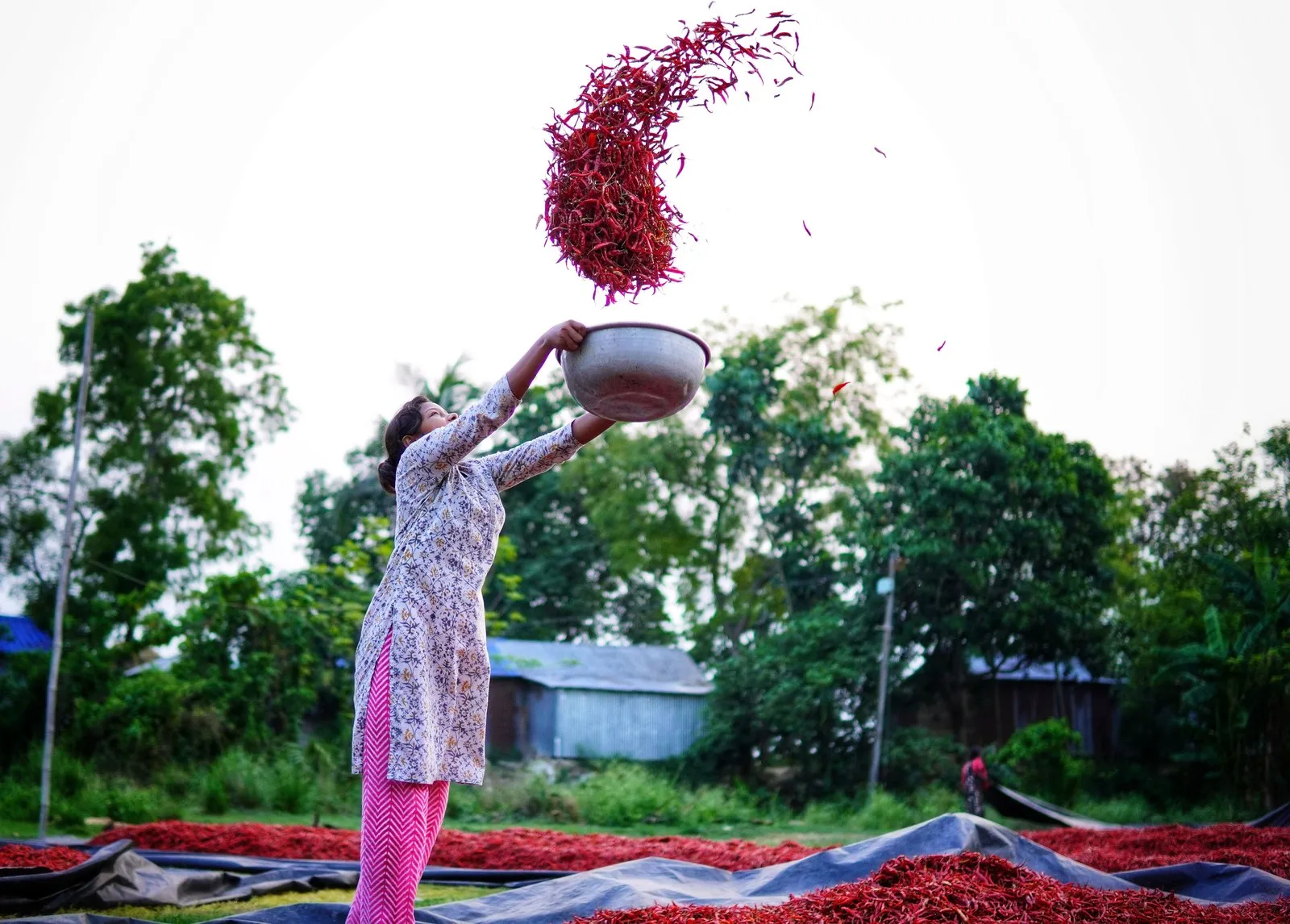 A woman tossing red chillies to dry in a village in West Bengal