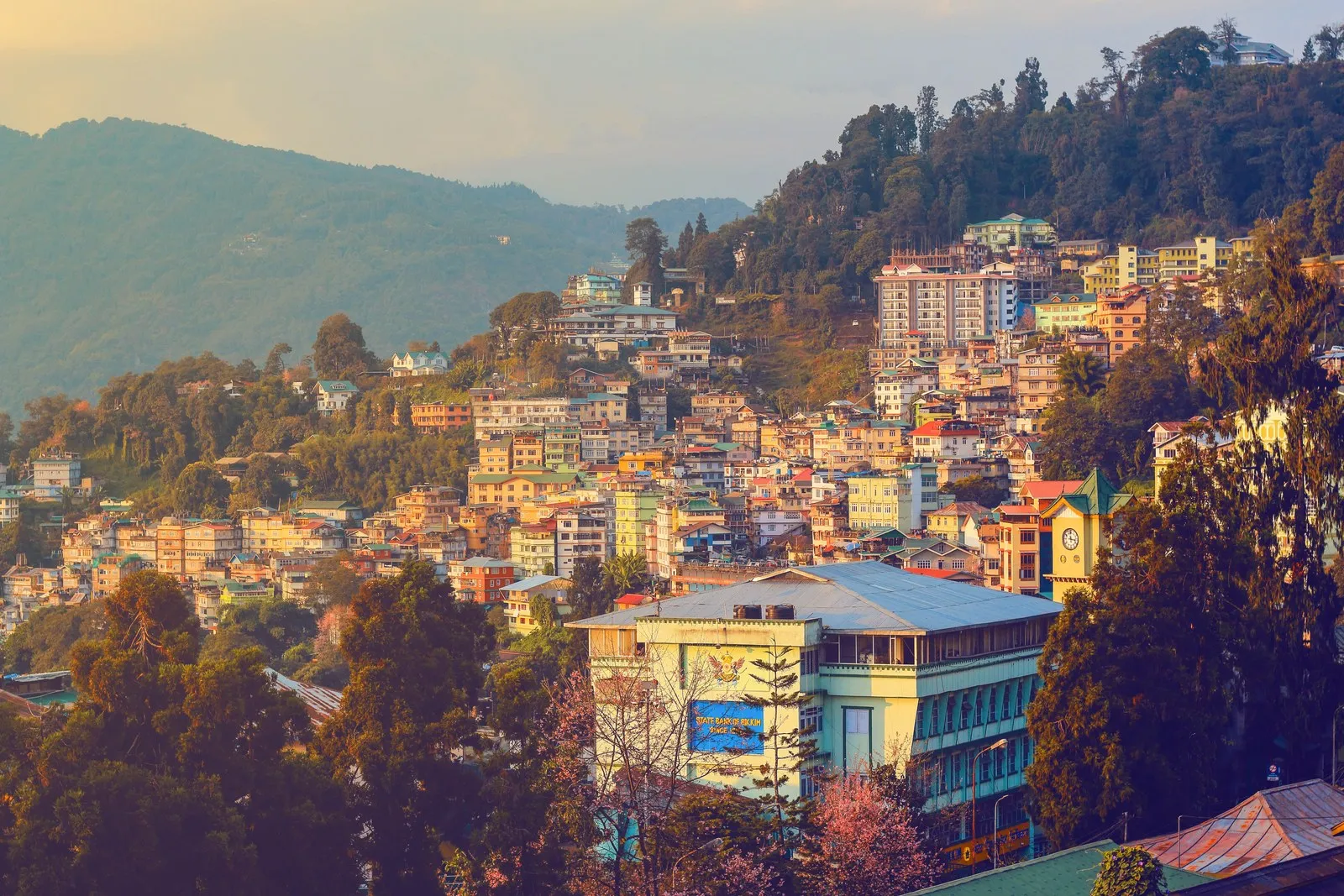 Gangtok’s houses climbing the ridge in the late-afternoon light