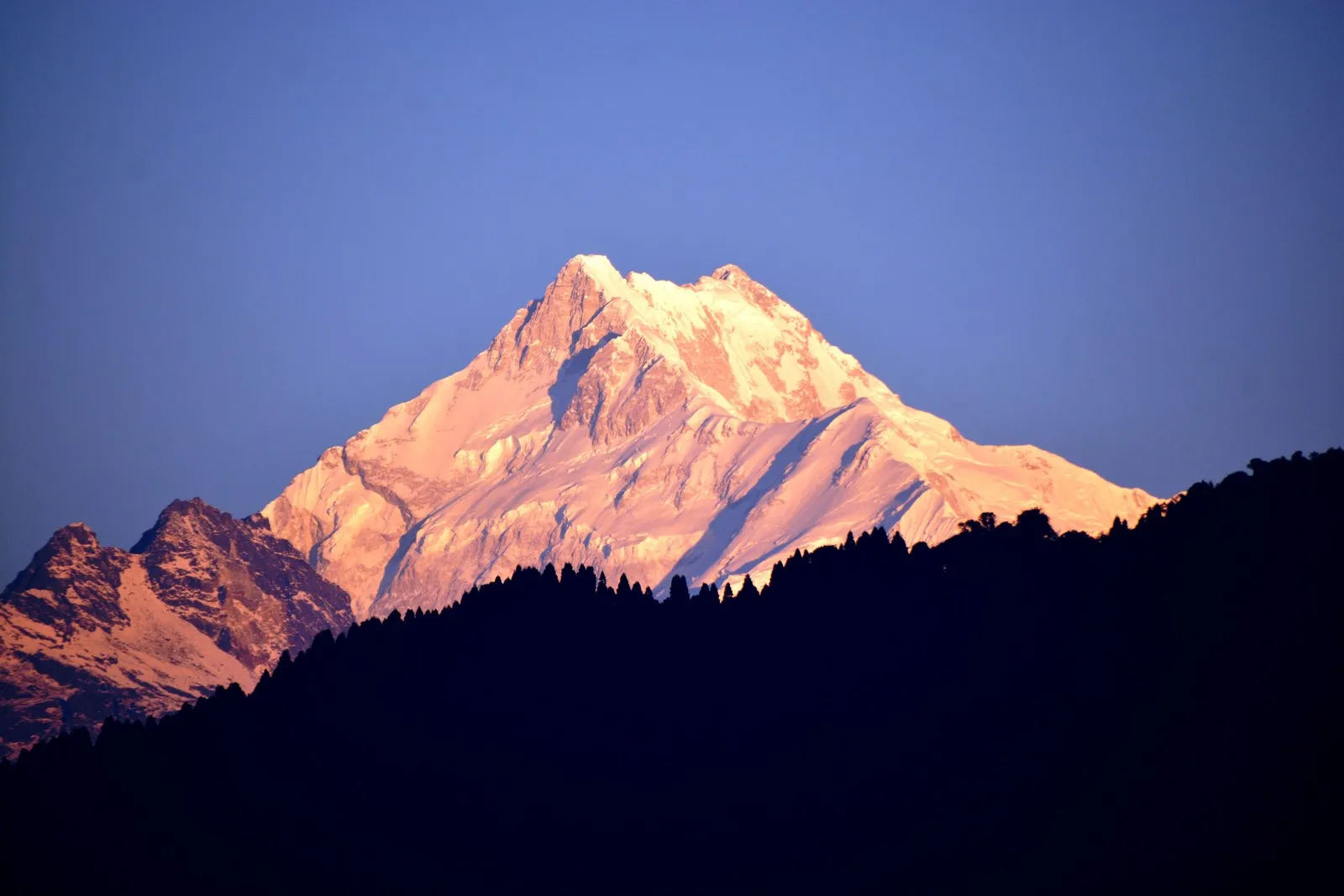 First light turning Kanchenjunga gold above a dark forested ridge