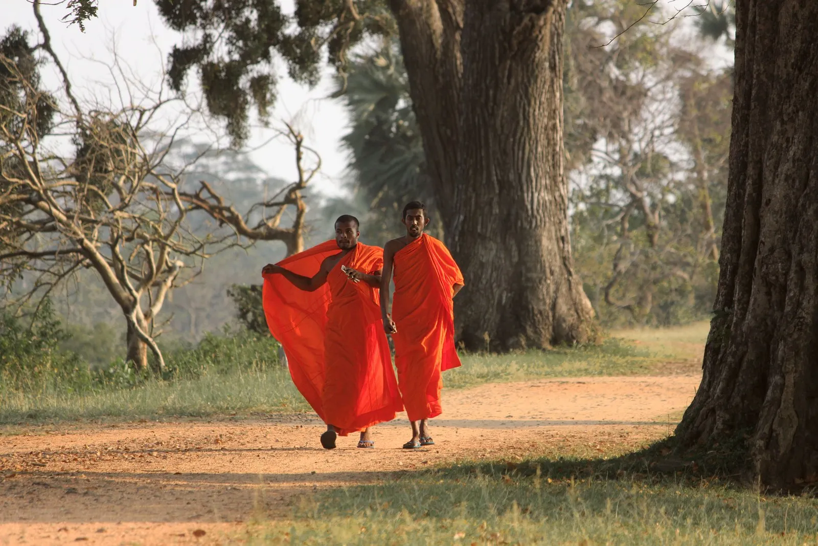 Two Buddhist monks walking a dirt path under old trees in Anuradhapura