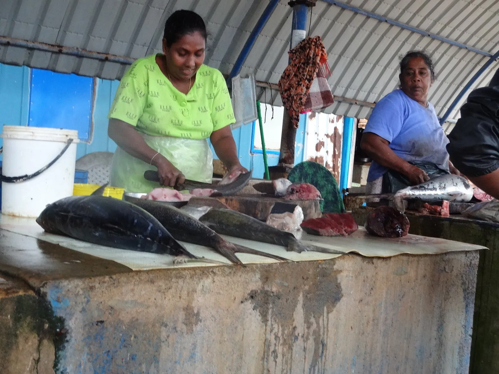 Women selling the morning’s catch at the fish market in Negombo
