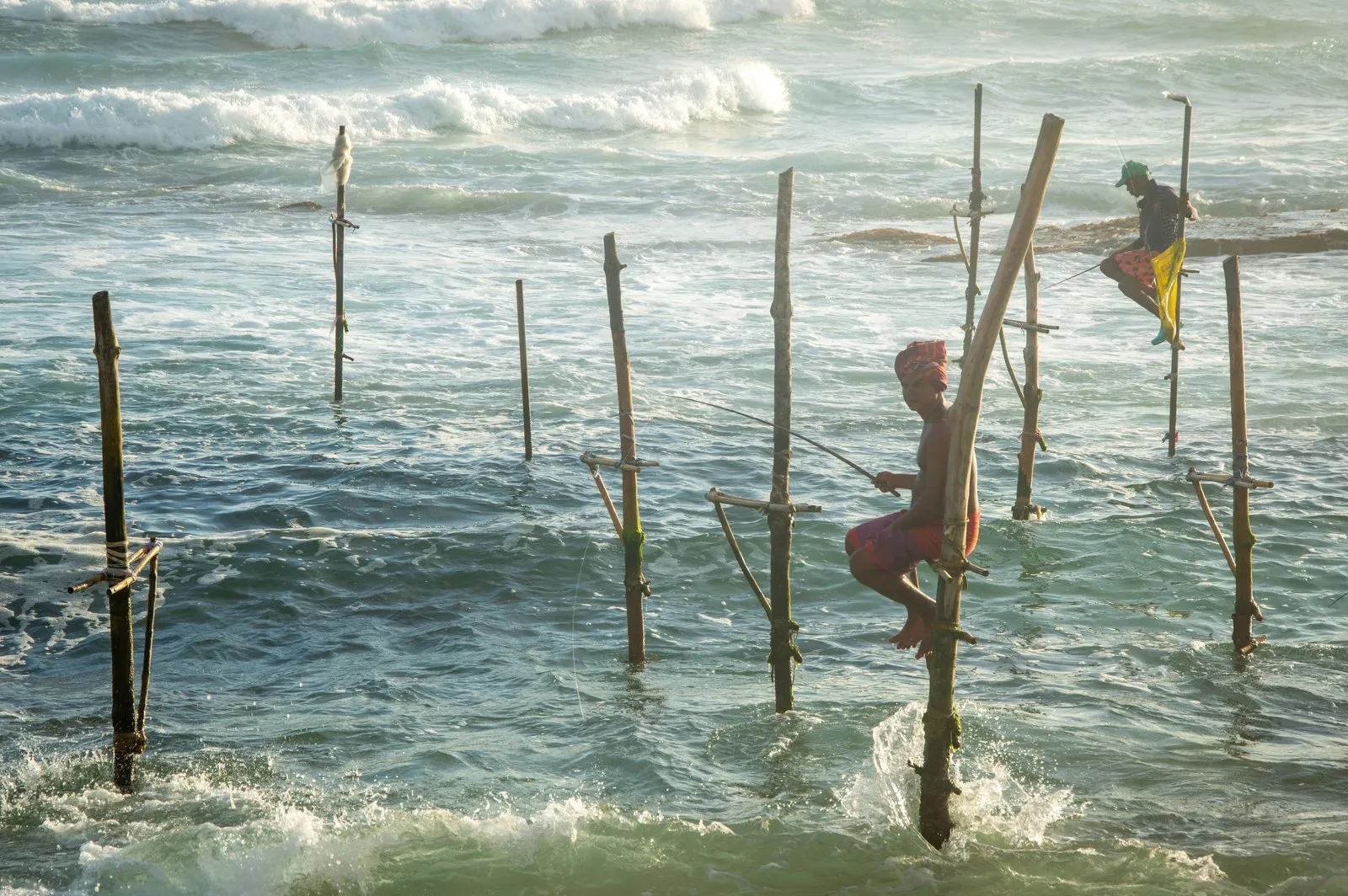 Stilt fishermen in the surf off the coast of Sri Lanka