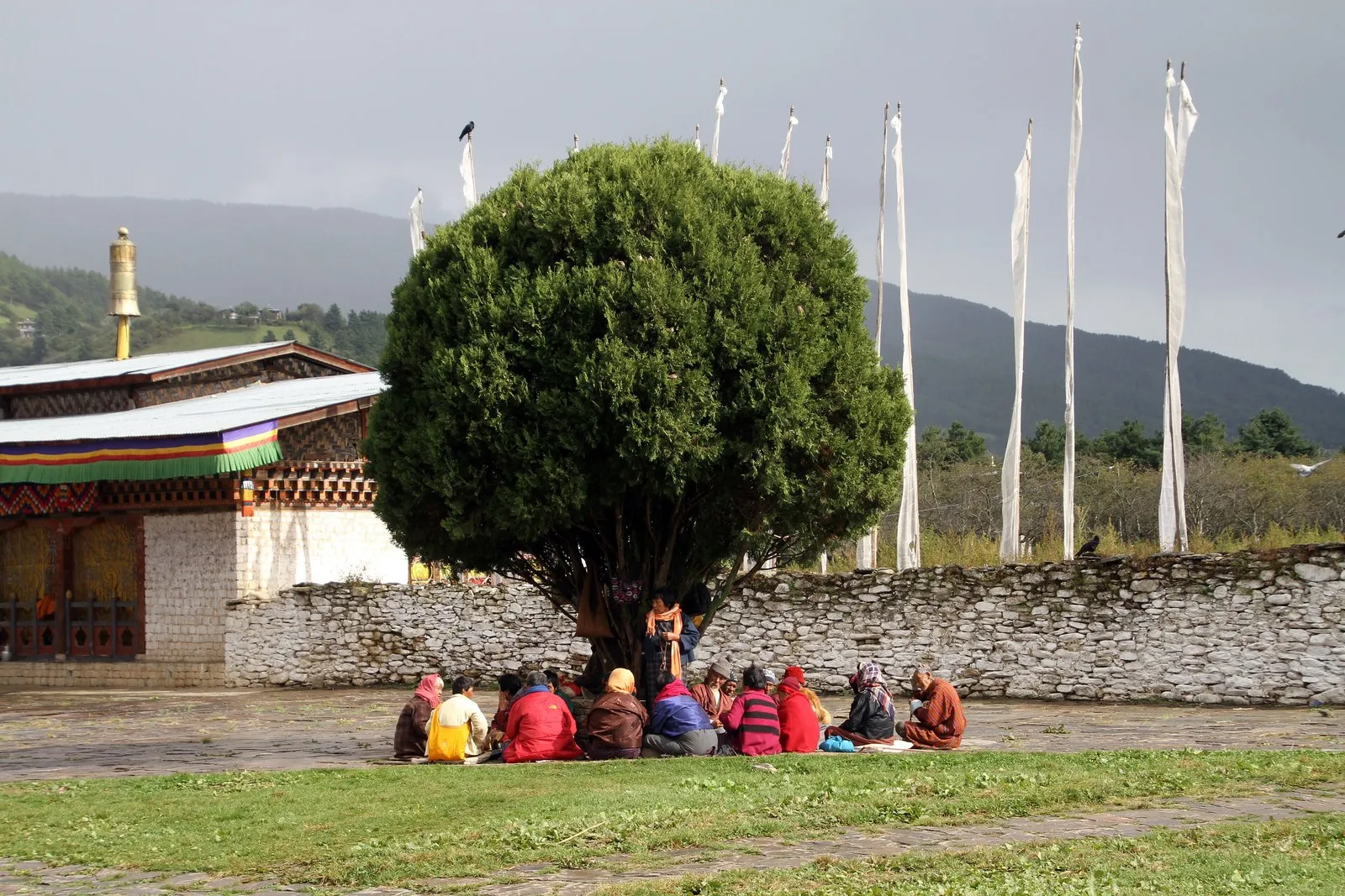 Pilgrims resting under a tree beside Jambay Lhakhang, Bumthang