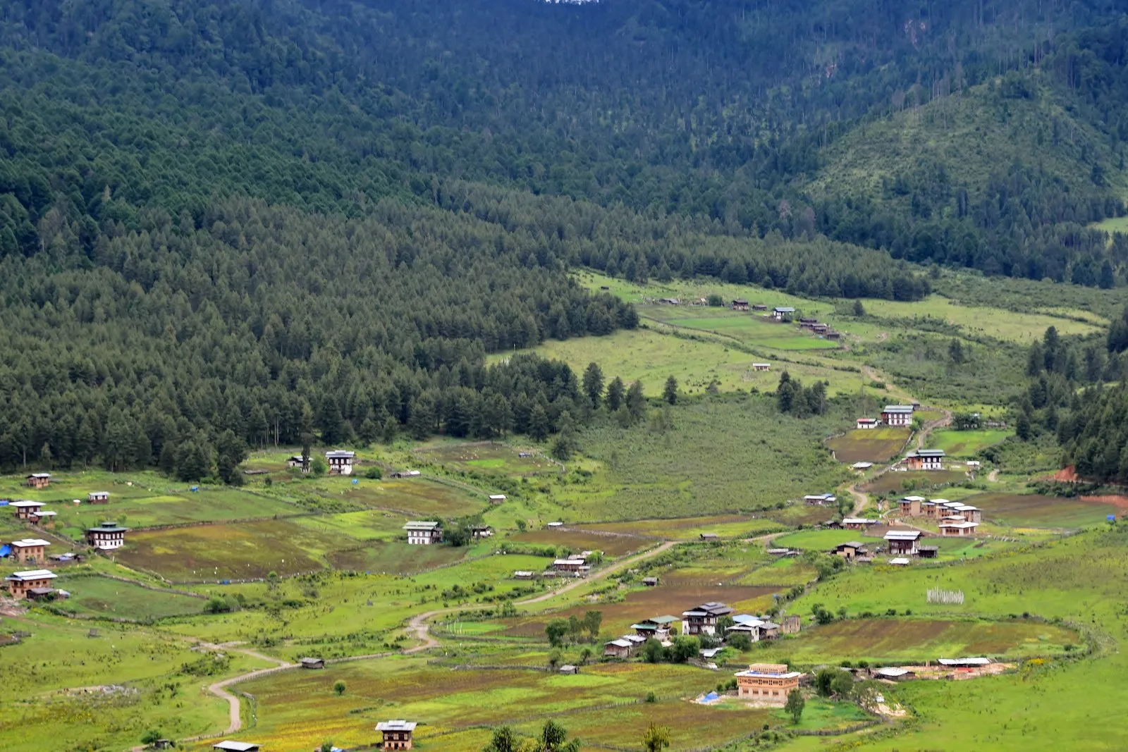 The wide glacial valley of Phobjikha, its farmhouses among the fields