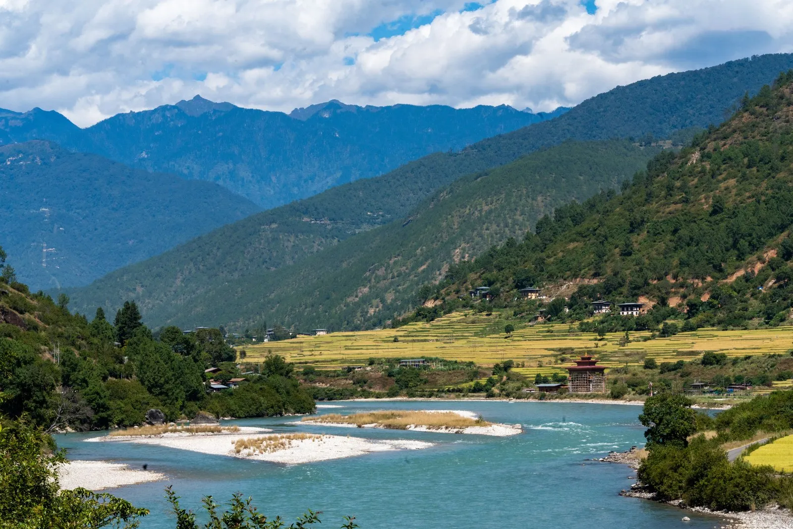The Punakha valley: a turquoise river, rice fields and forested hills