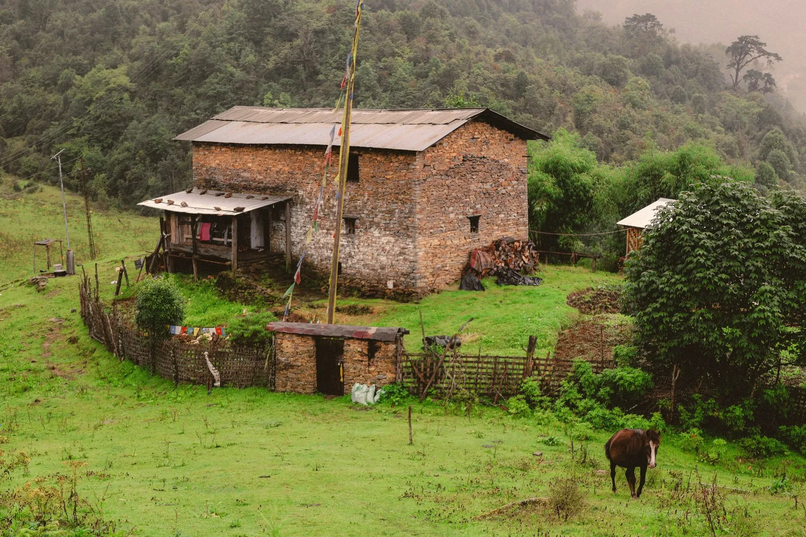 A stone farmhouse and its fields in the green hills of Bhutan