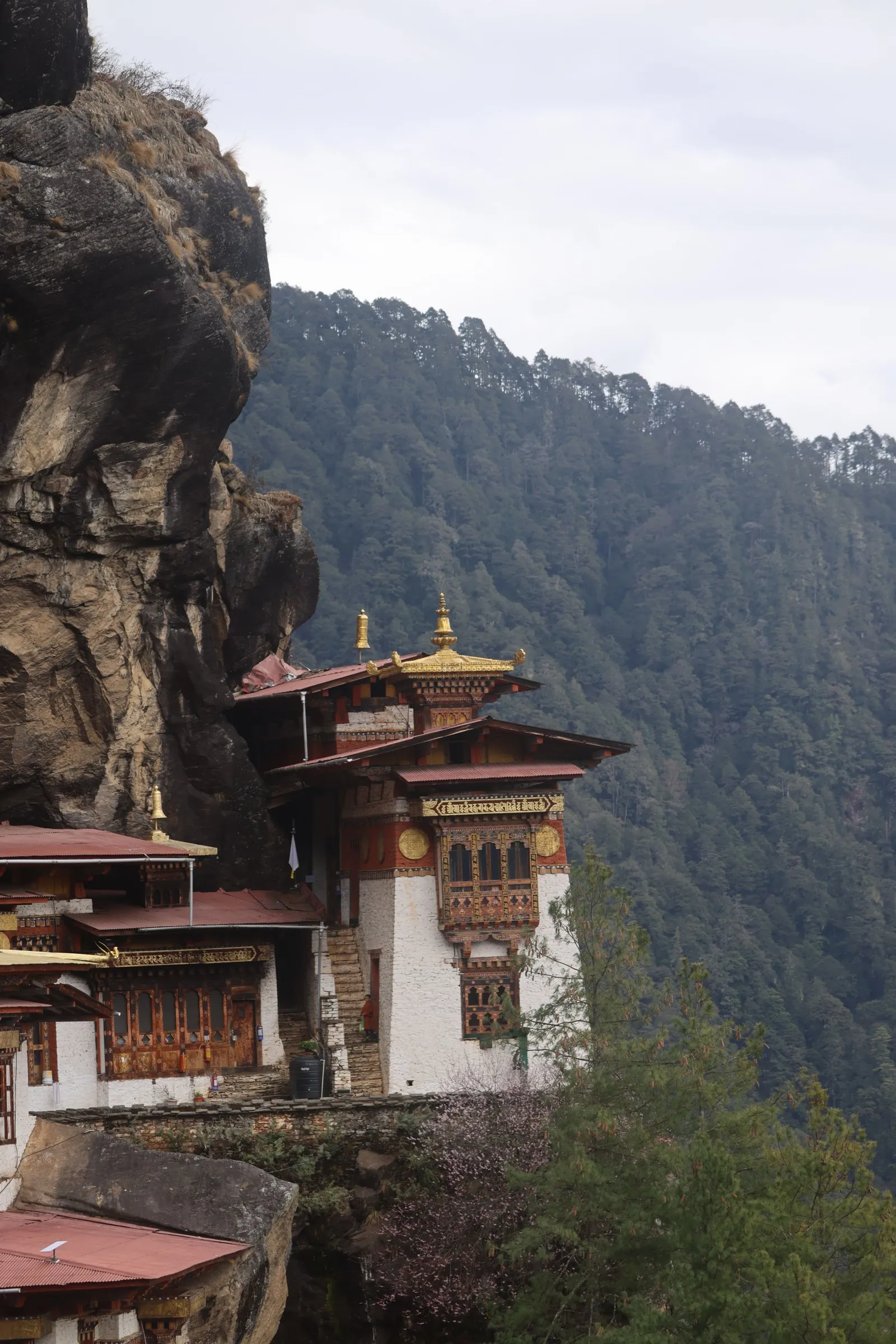 The Tiger’s Nest monastery against its granite cliff, forest below, Paro