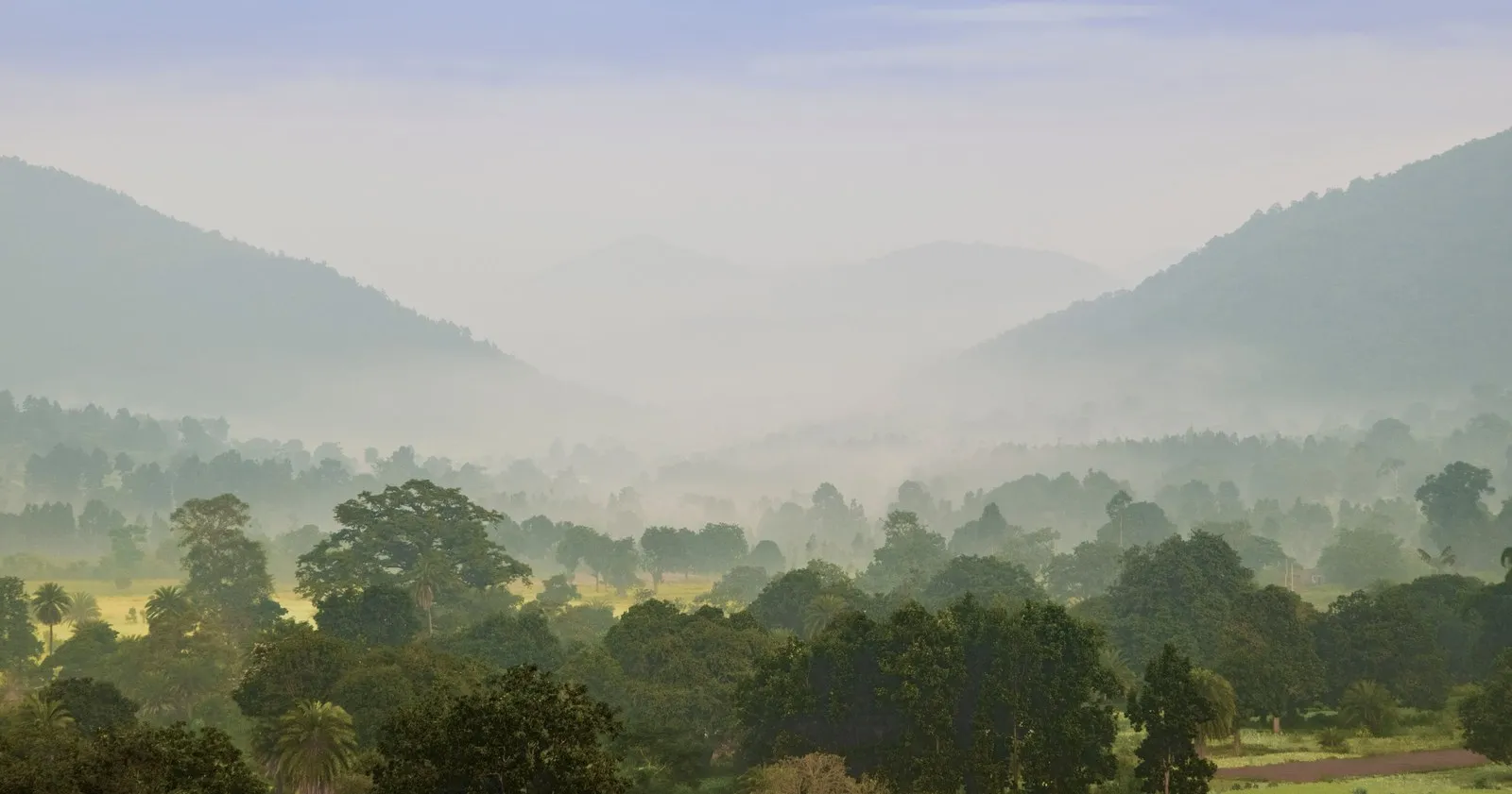 Morning mist over the forested hills at Daringbadi, Kandhamal