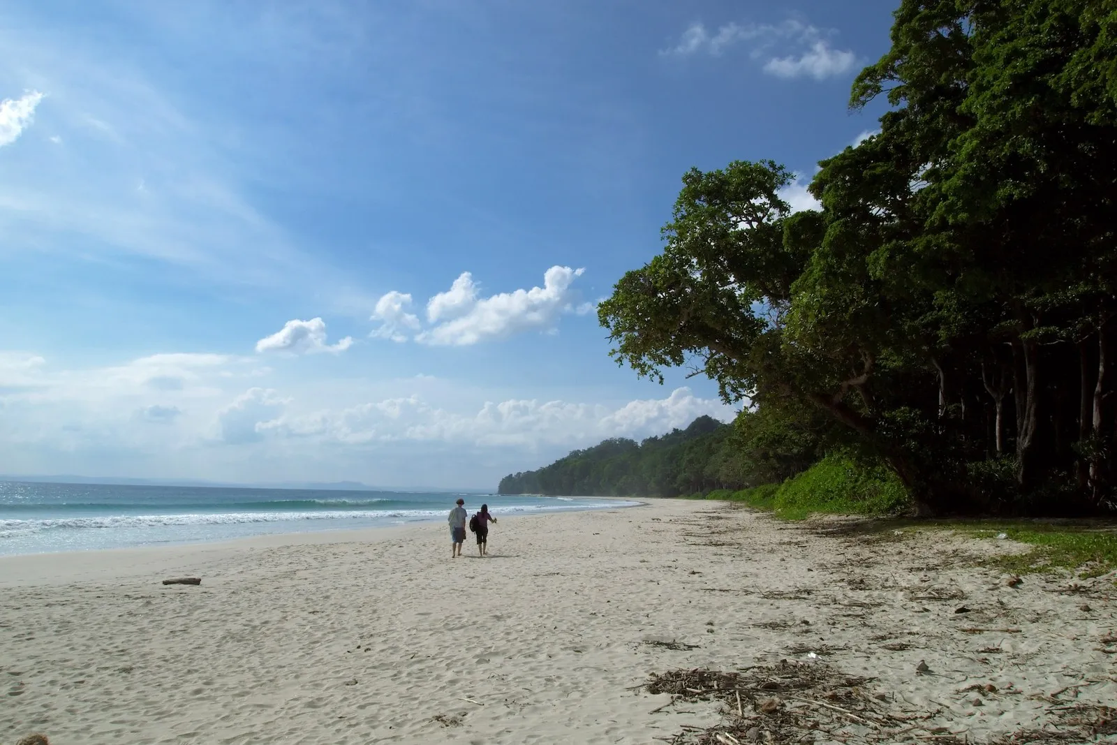 Two people walking the length of Radhanagar Beach, Havelock, the forest behind