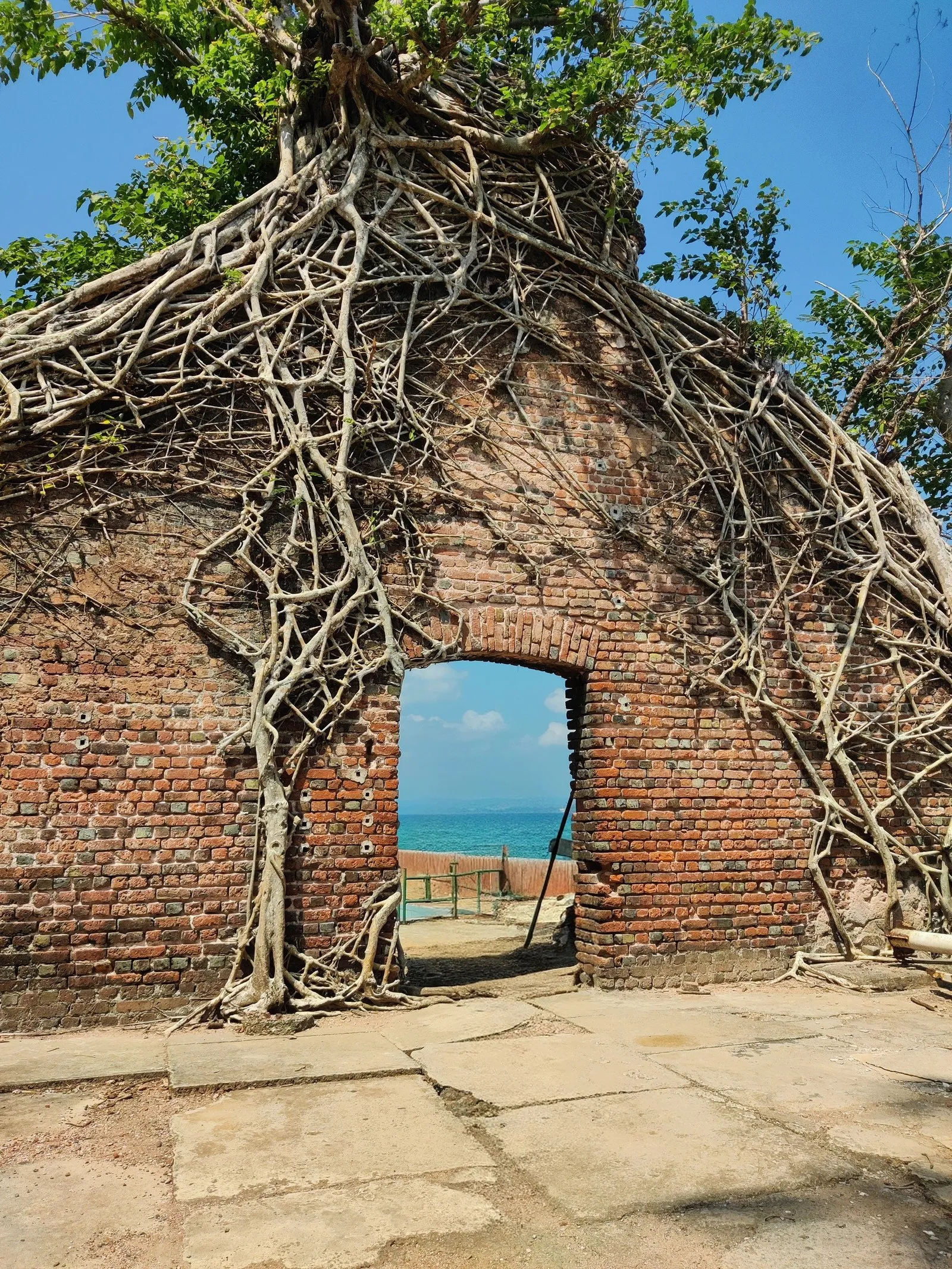 British-era brick ruins in the grip of tree roots on Ross Island, the sea beyond