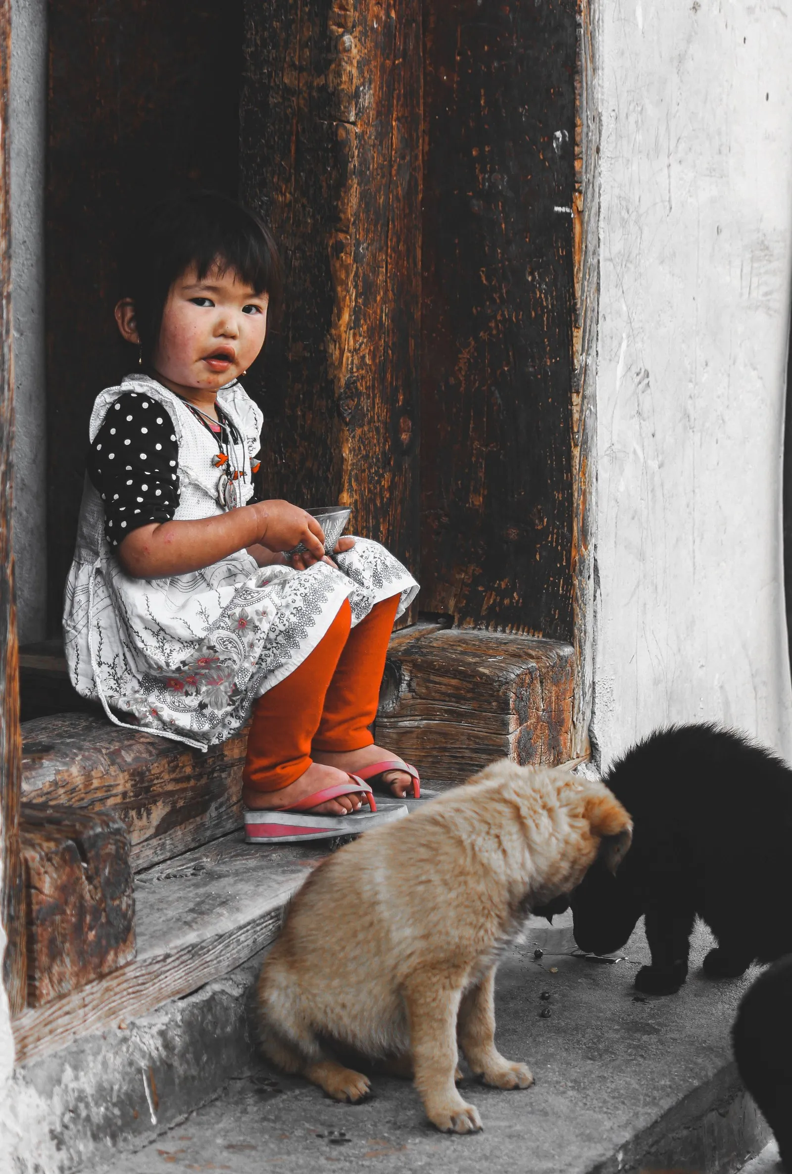 A small girl on a doorstep with two puppies, Bhutan