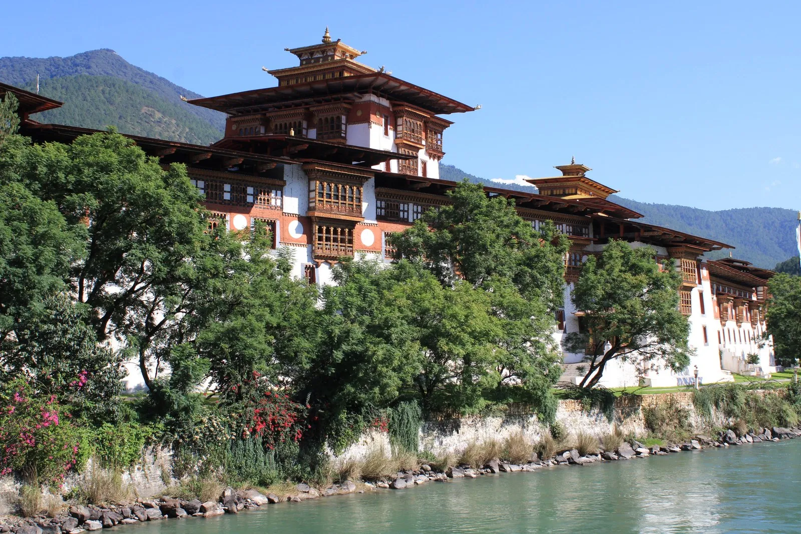 Punakha Dzong above the river, behind a line of trees
