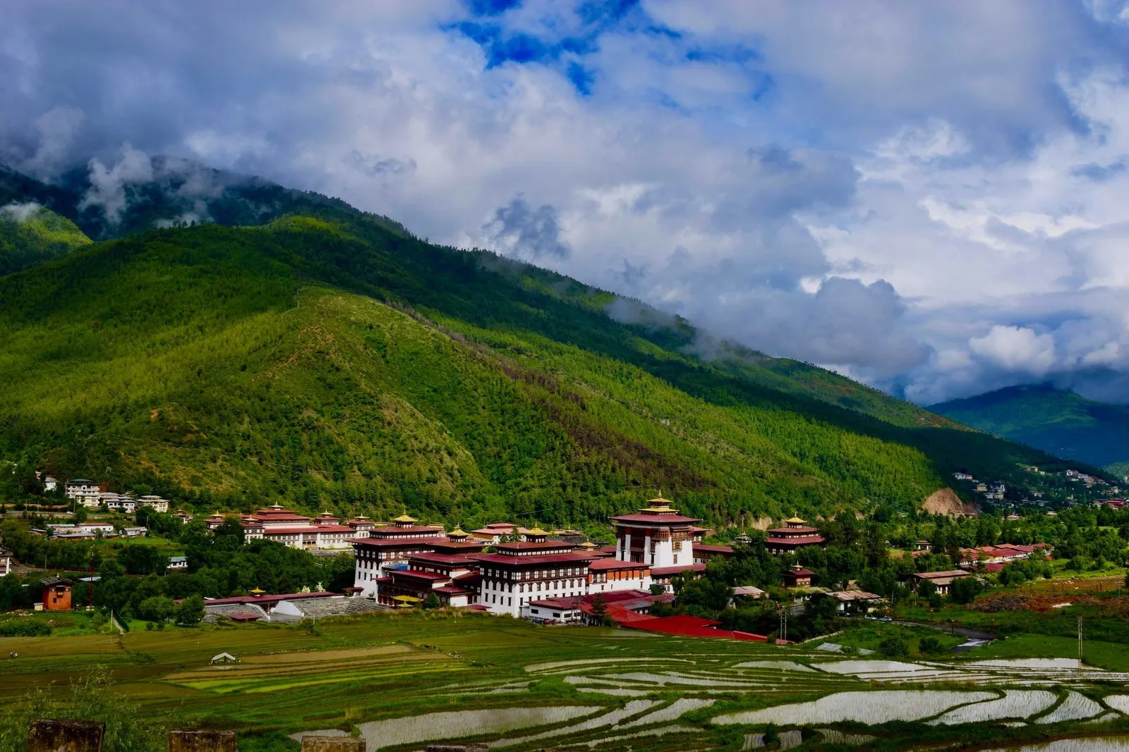 Tashichho Dzong below forested hills, rice terraces in front, Thimphu