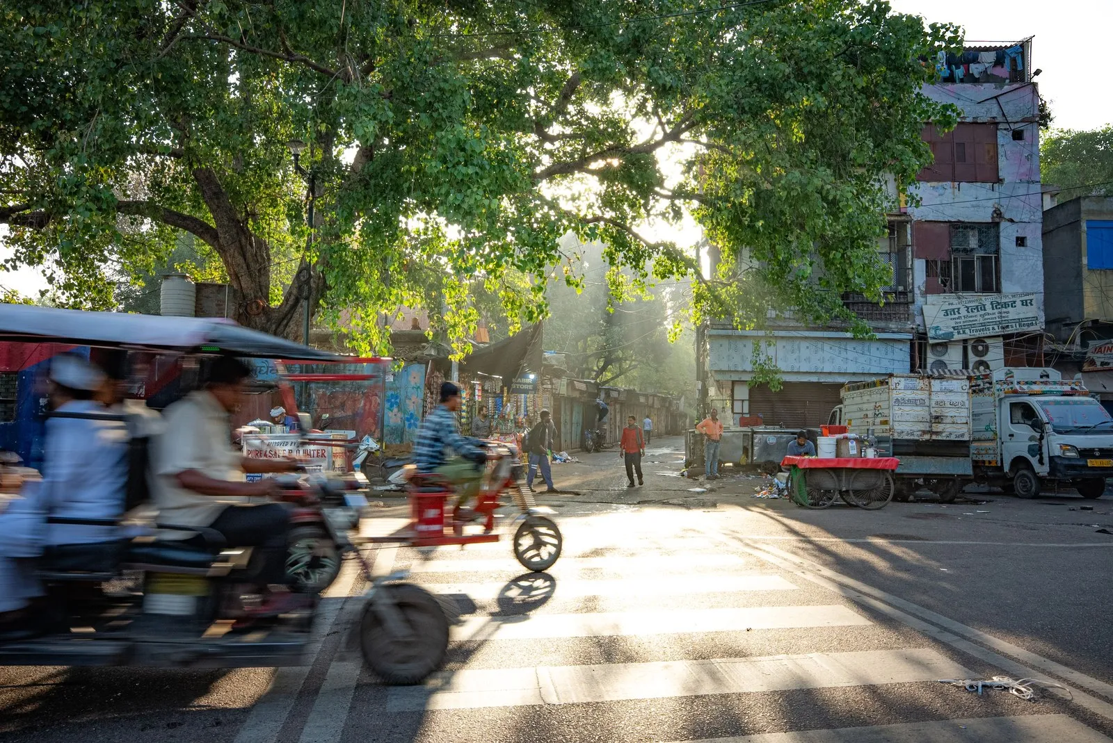 Morning light on a tree-lined Delhi street, e-rickshaws passing