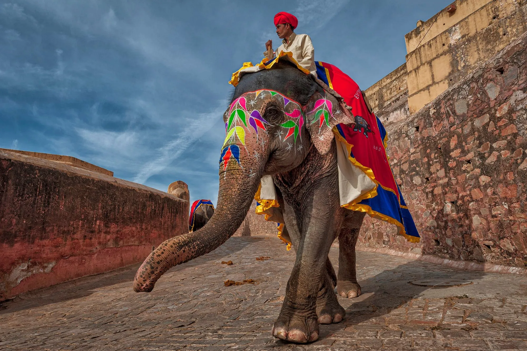 A painted elephant carrying its mahout up the ramp to Amber Fort