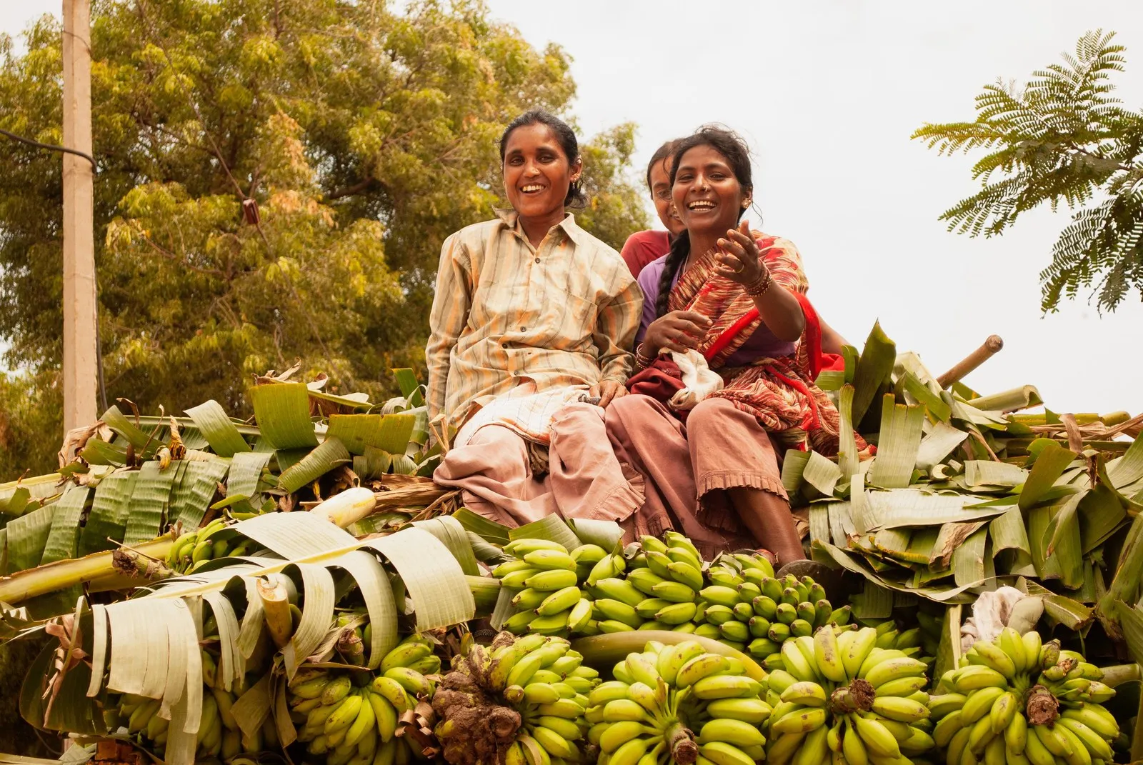 Women riding a cart piled with bananas and banana leaves near Hampi