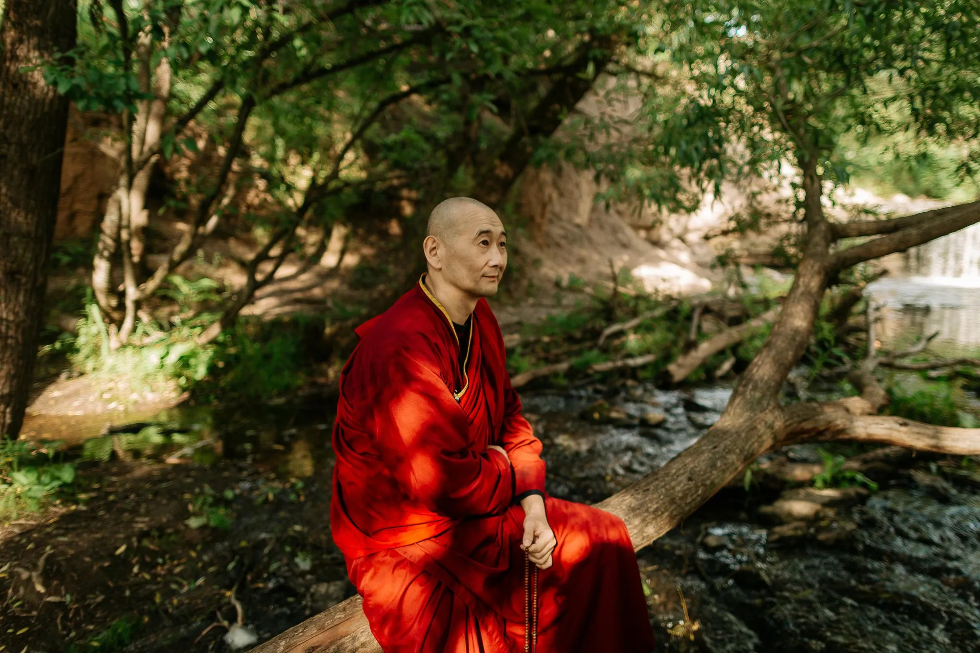 A monk in a red robe seated on a fallen tree