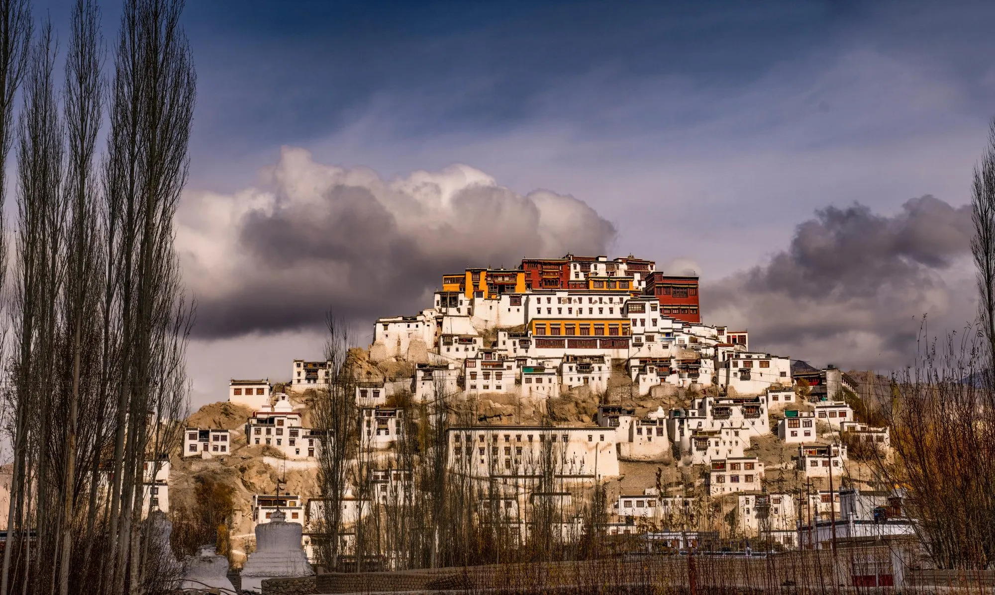 Thiksey Monastery on its hill behind bare poplars