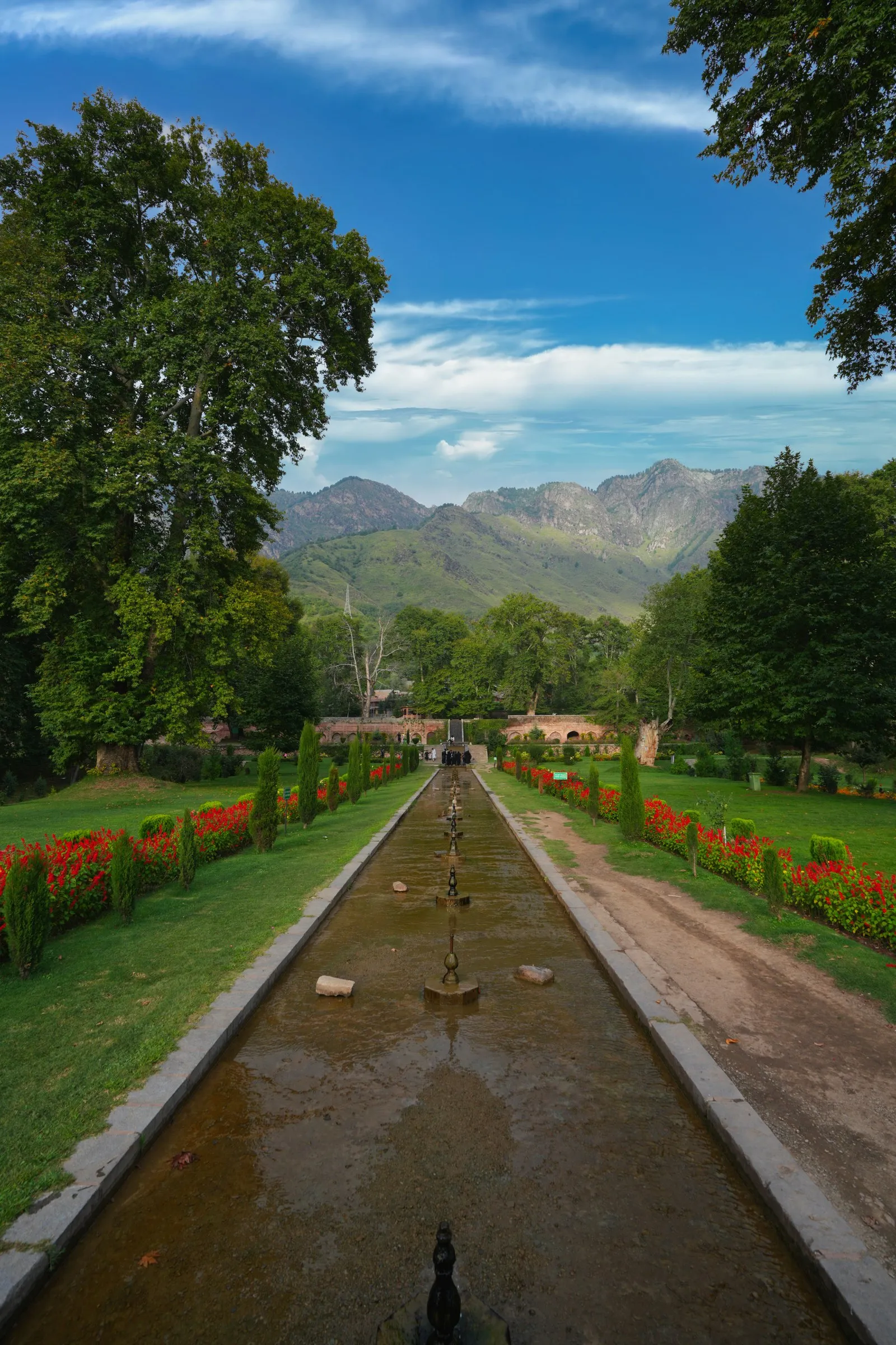 The water channel of Nishat Bagh between flower beds and chinar trees, Srinagar