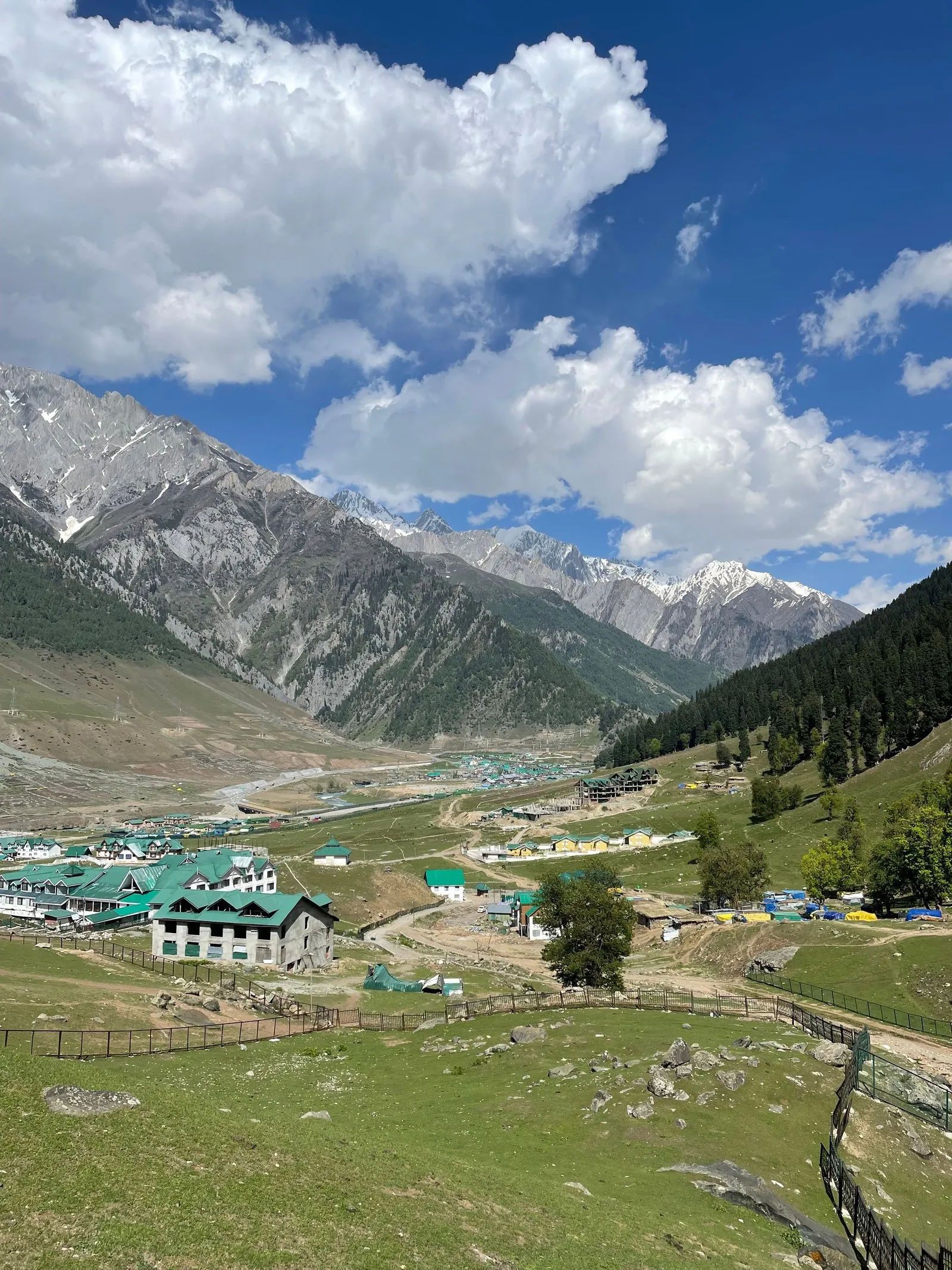 The Sonamarg valley in summer, green meadows under snow-streaked peaks