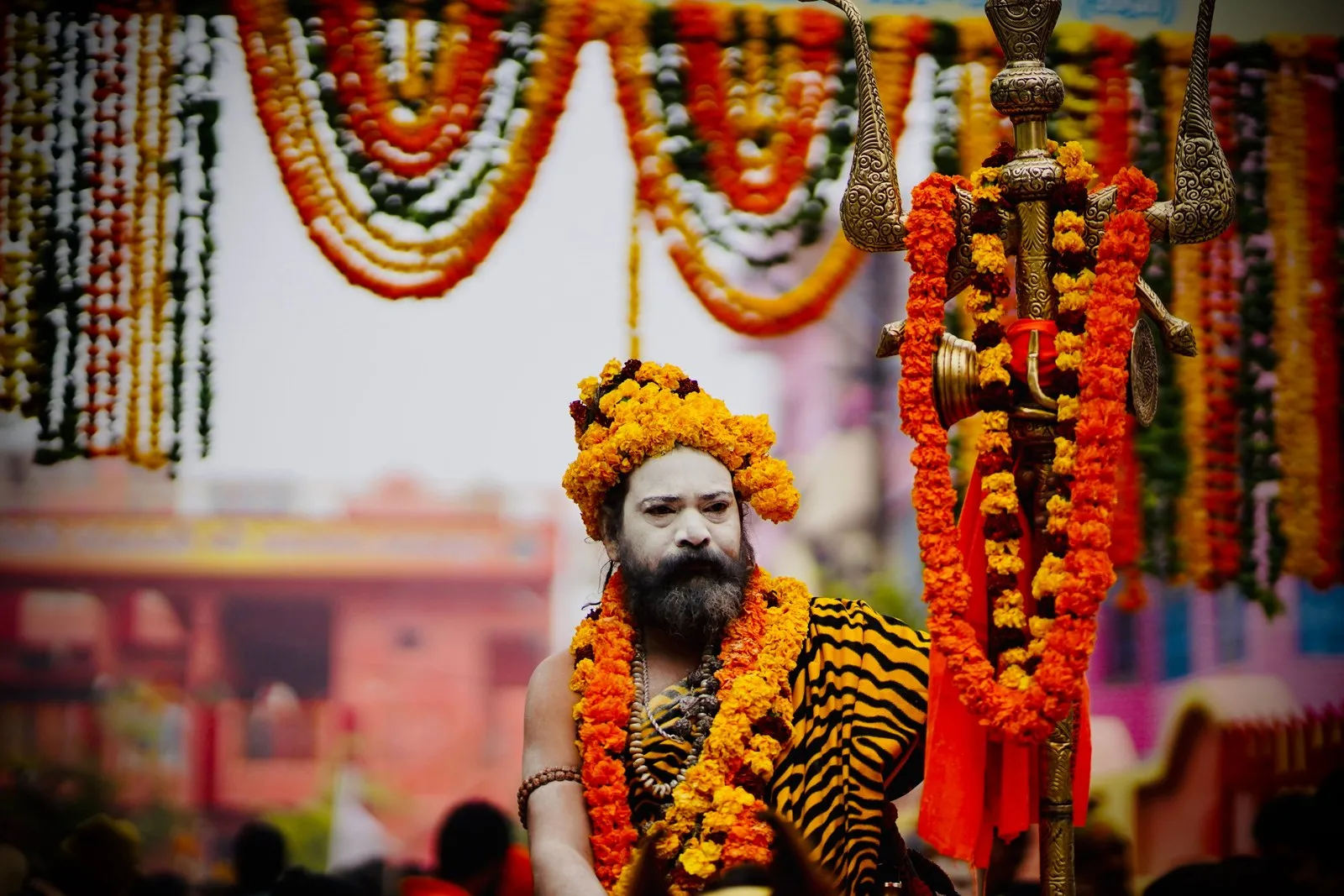 An ascetic among strings of marigolds at his camp, Prayagraj