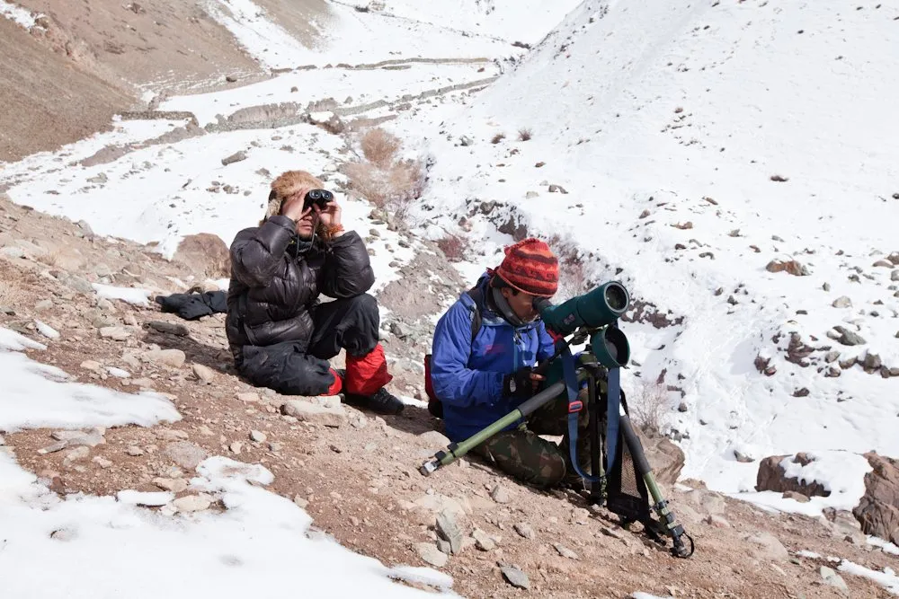 Two spotters with binoculars and a scope on a snowy slope