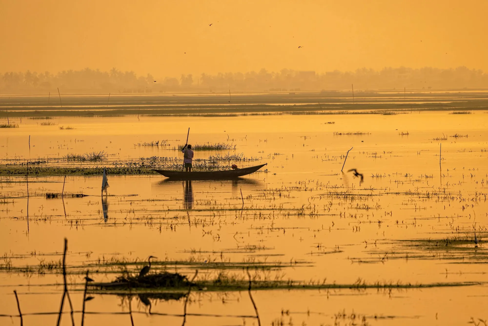 A fishing boat on a lagoon in golden light
