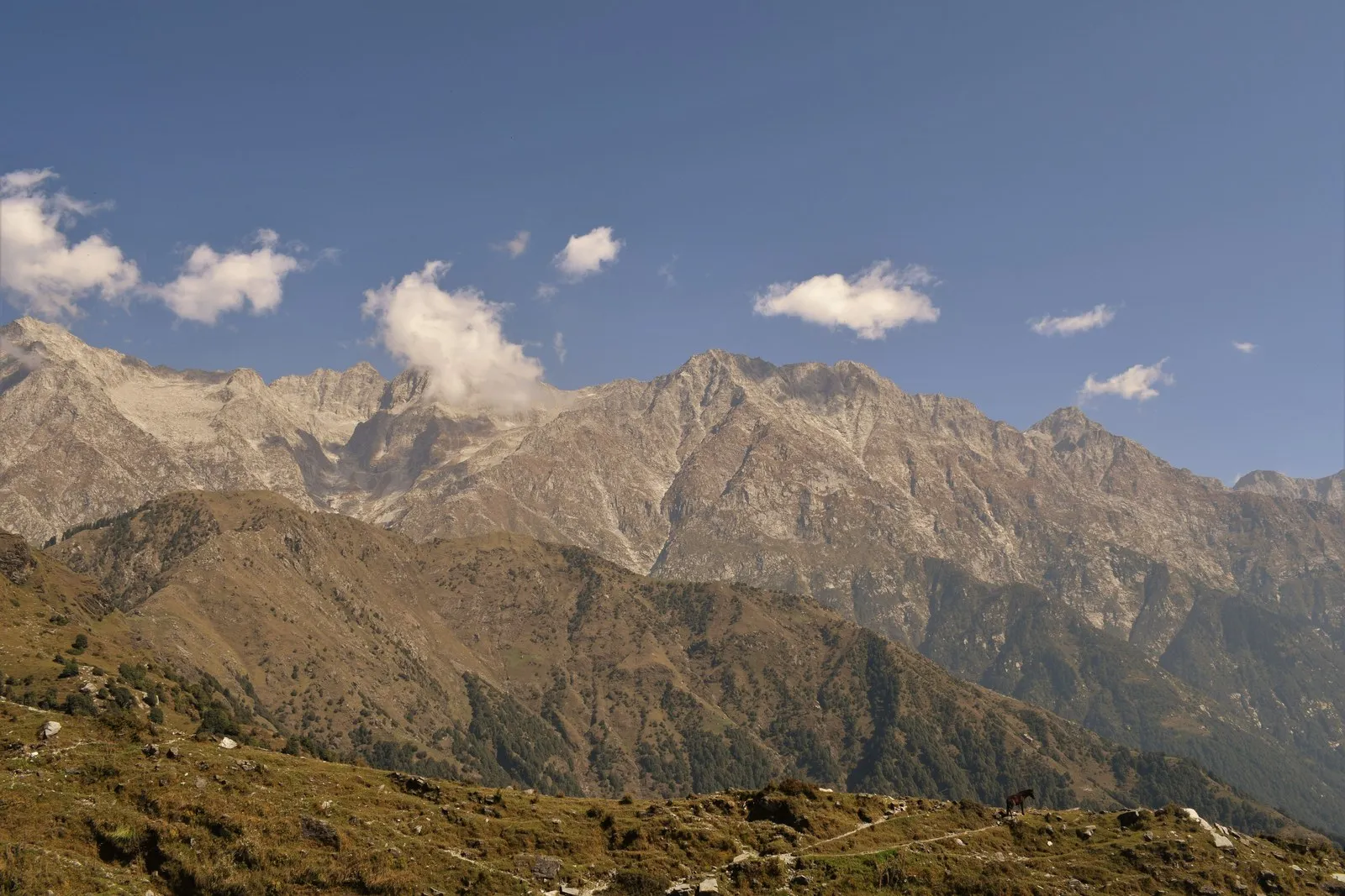 The peaks of the Dhauladhar range above the Kangra valley in summer