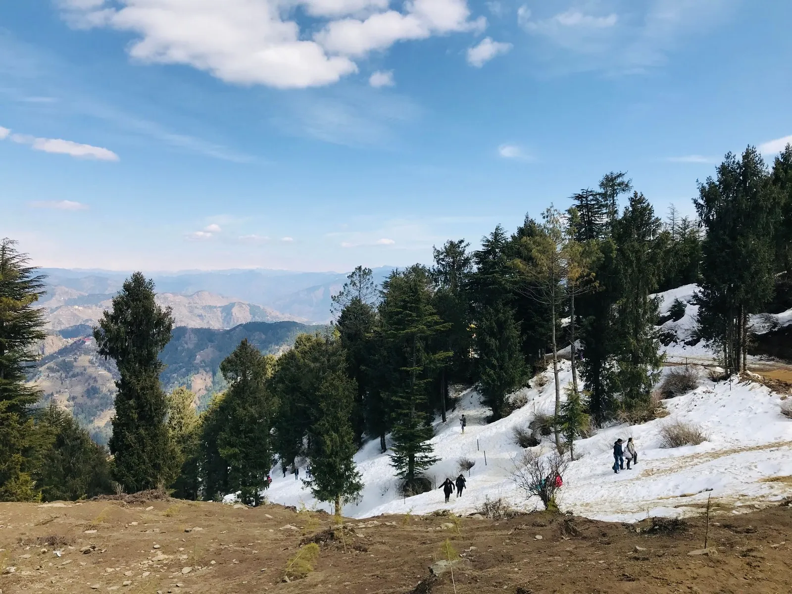 Walkers on the snowy slopes among the pines at Kufri, near Shimla