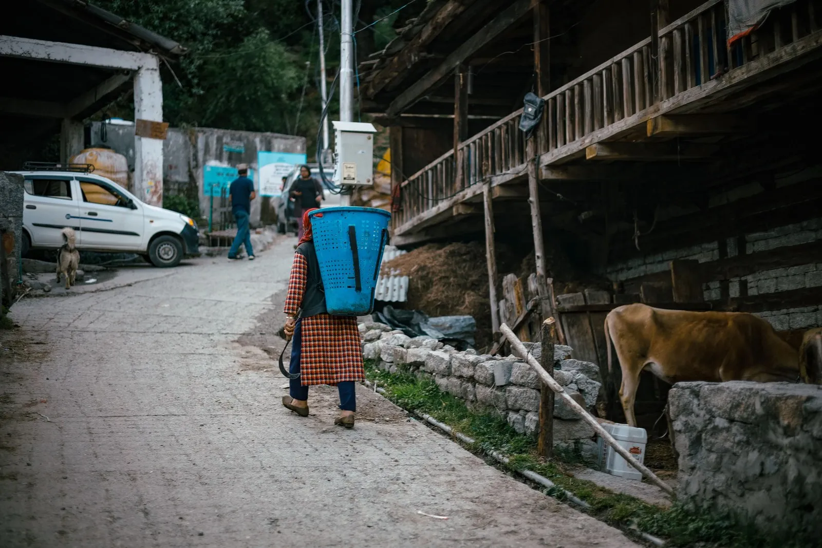 A woman carrying a basket on her back up a village lane in Manali