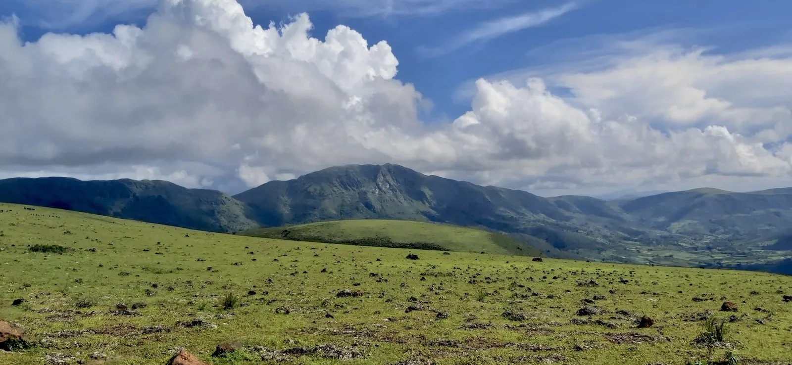 The grassy top of Deomali, Koraput, under a wide sky