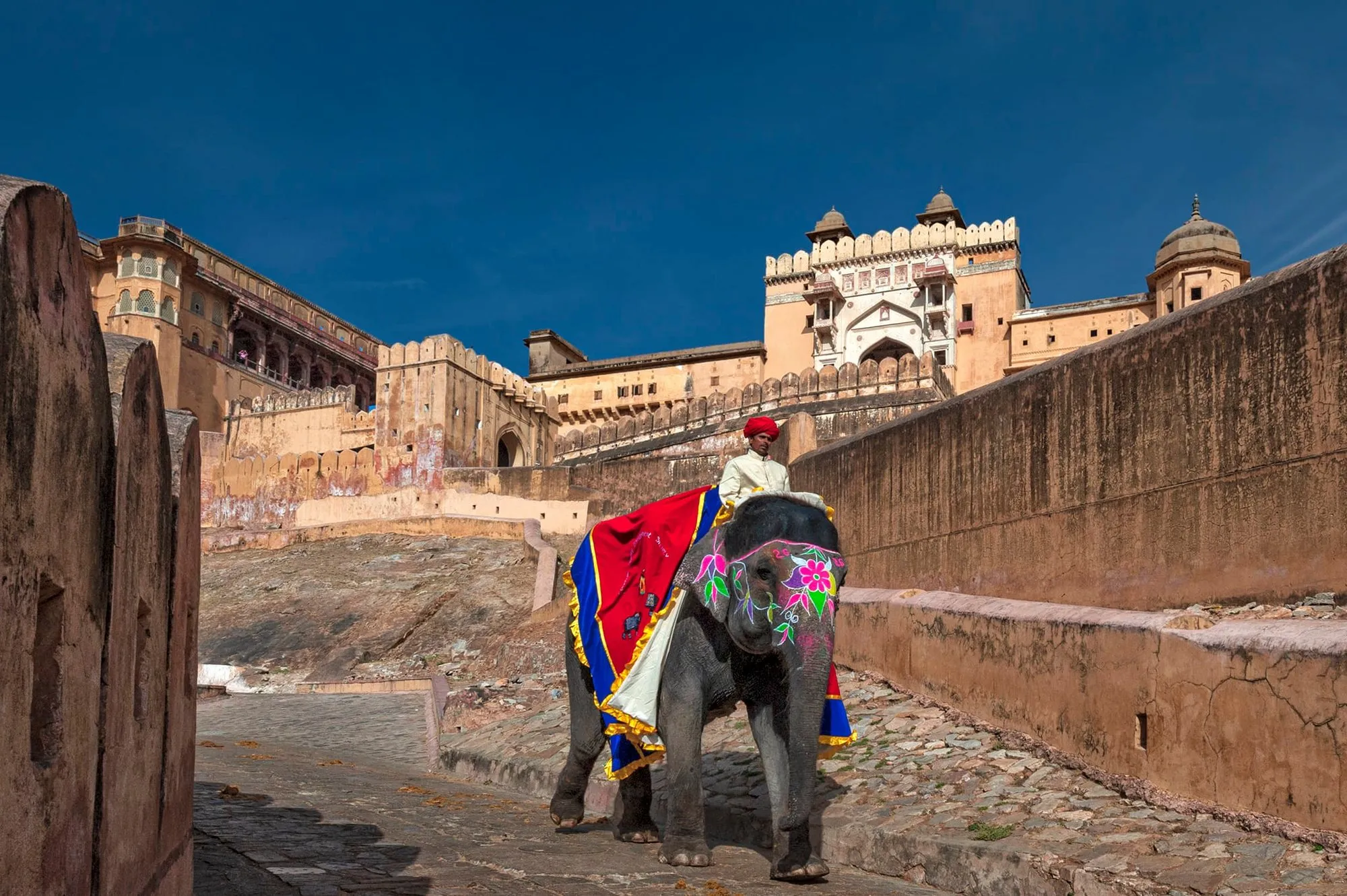 A painted elephant and its rider on the ramp to Amber Fort
