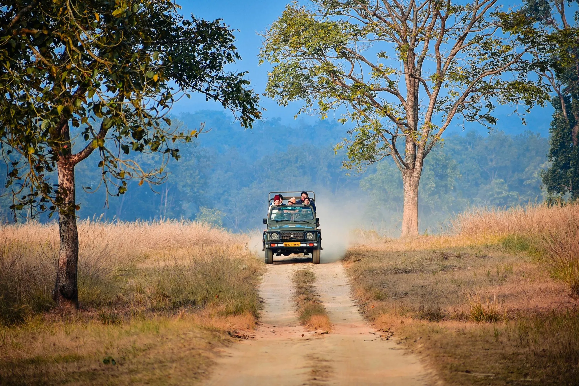 A safari jeep on a dusty track between trees