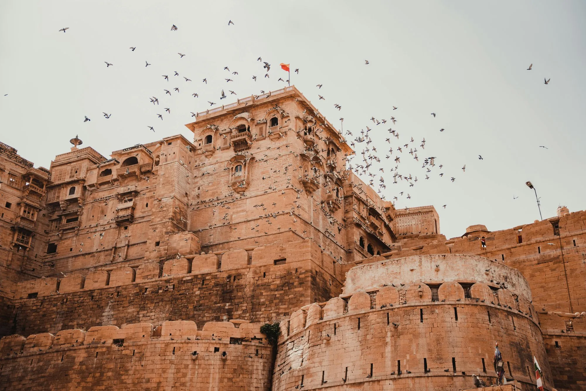 Pigeons over the walls of a sandstone fort