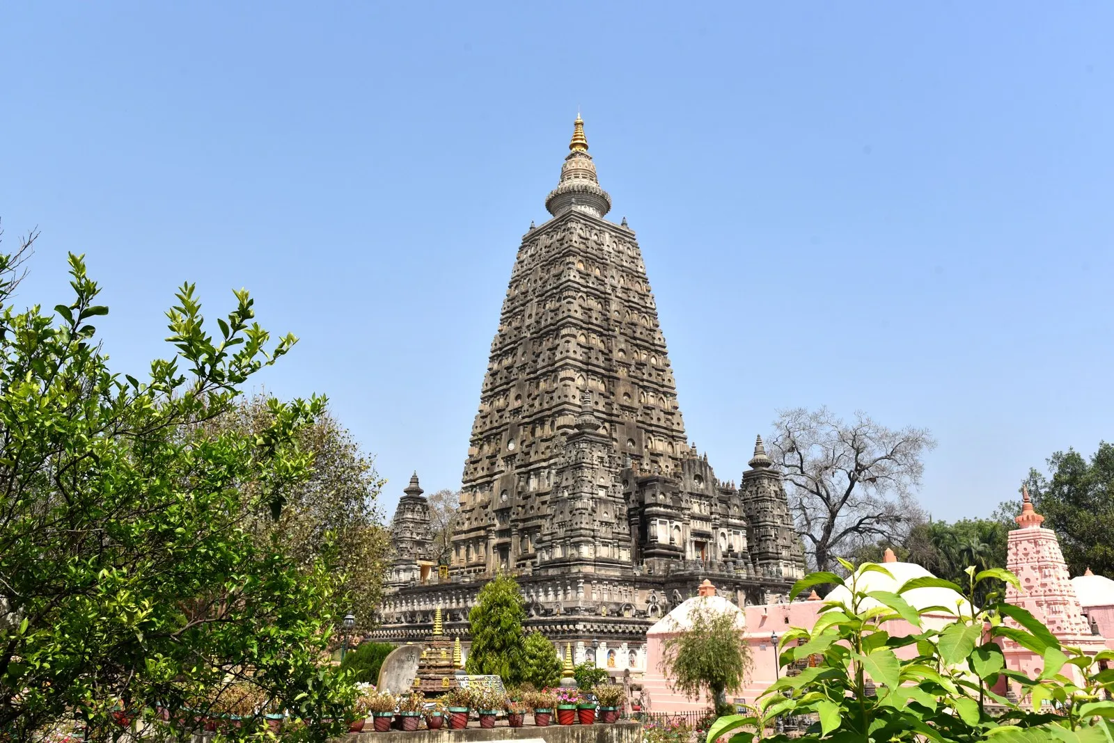 The brick tower of the Mahabodhi temple at Bodh Gaya, among trees