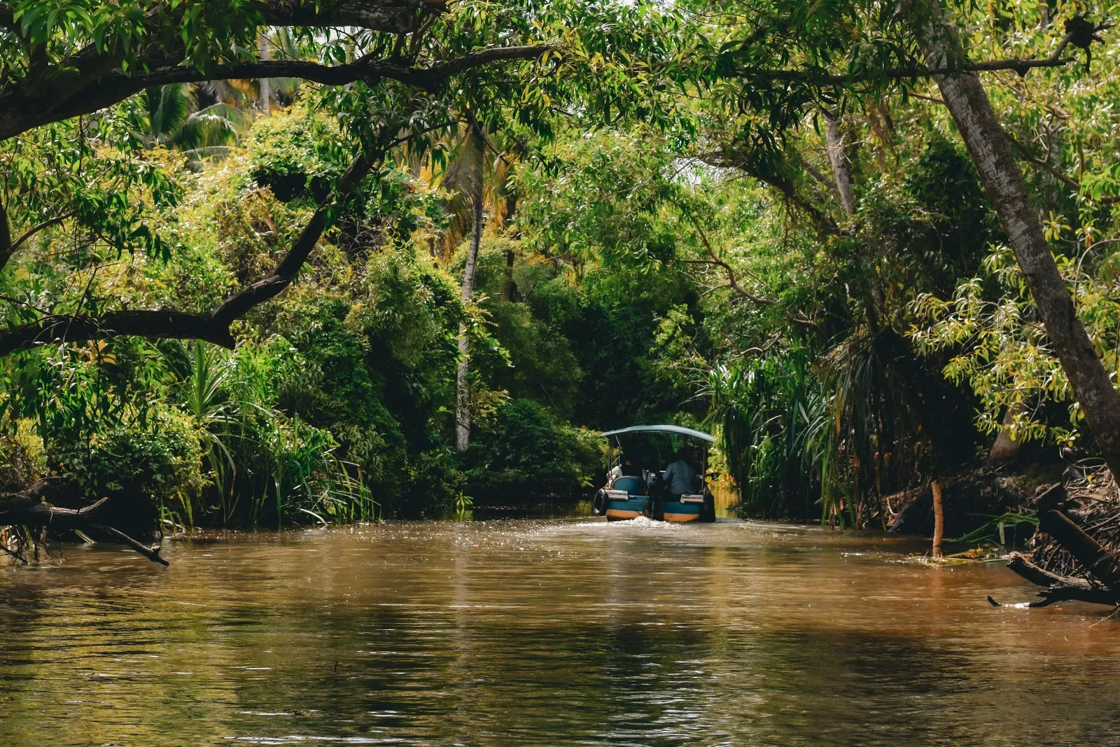 A boat on a tree-shaded canal in the Kumarakom backwaters
