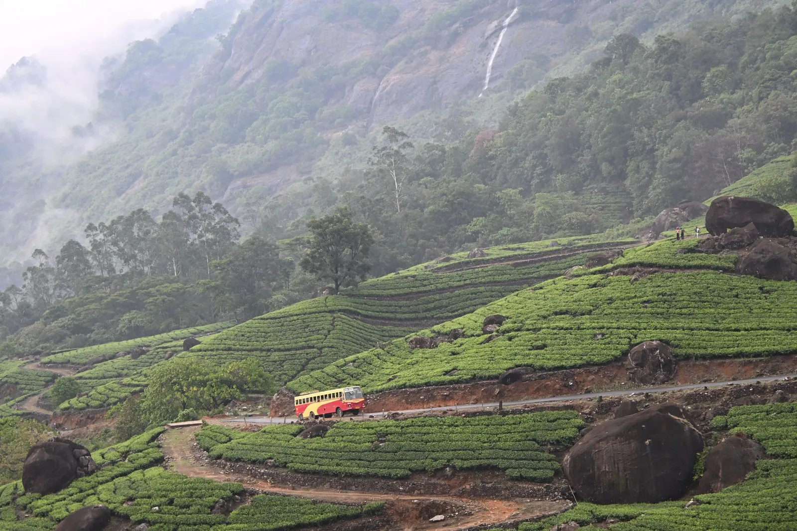 A bus on the road through misty tea estates near Munnar