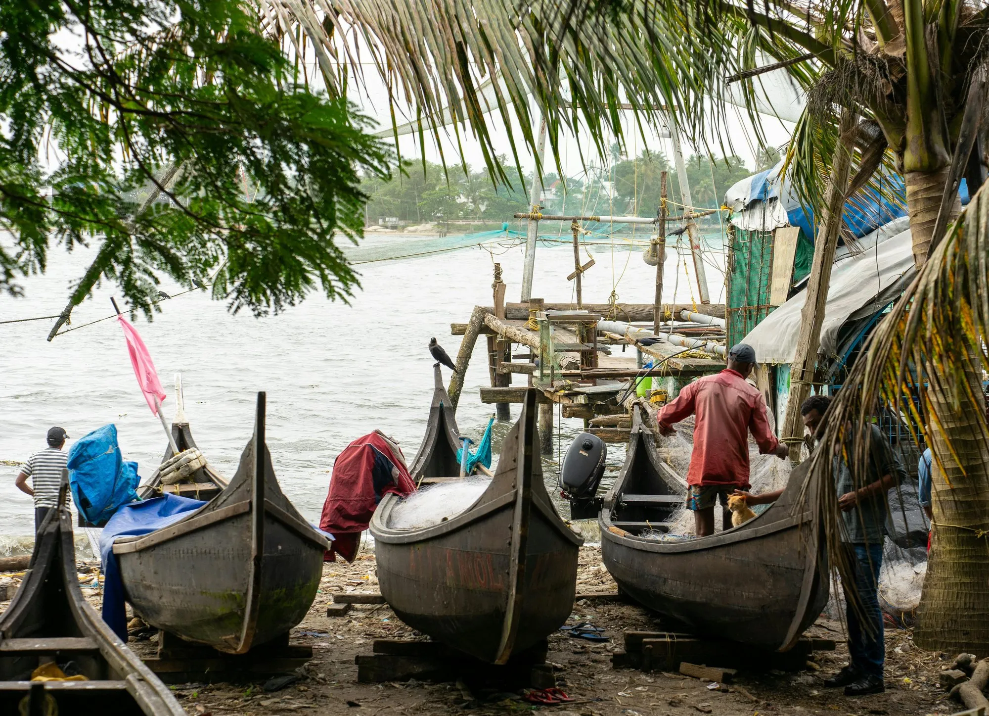 Fishing boats drawn up on a Kochi shore