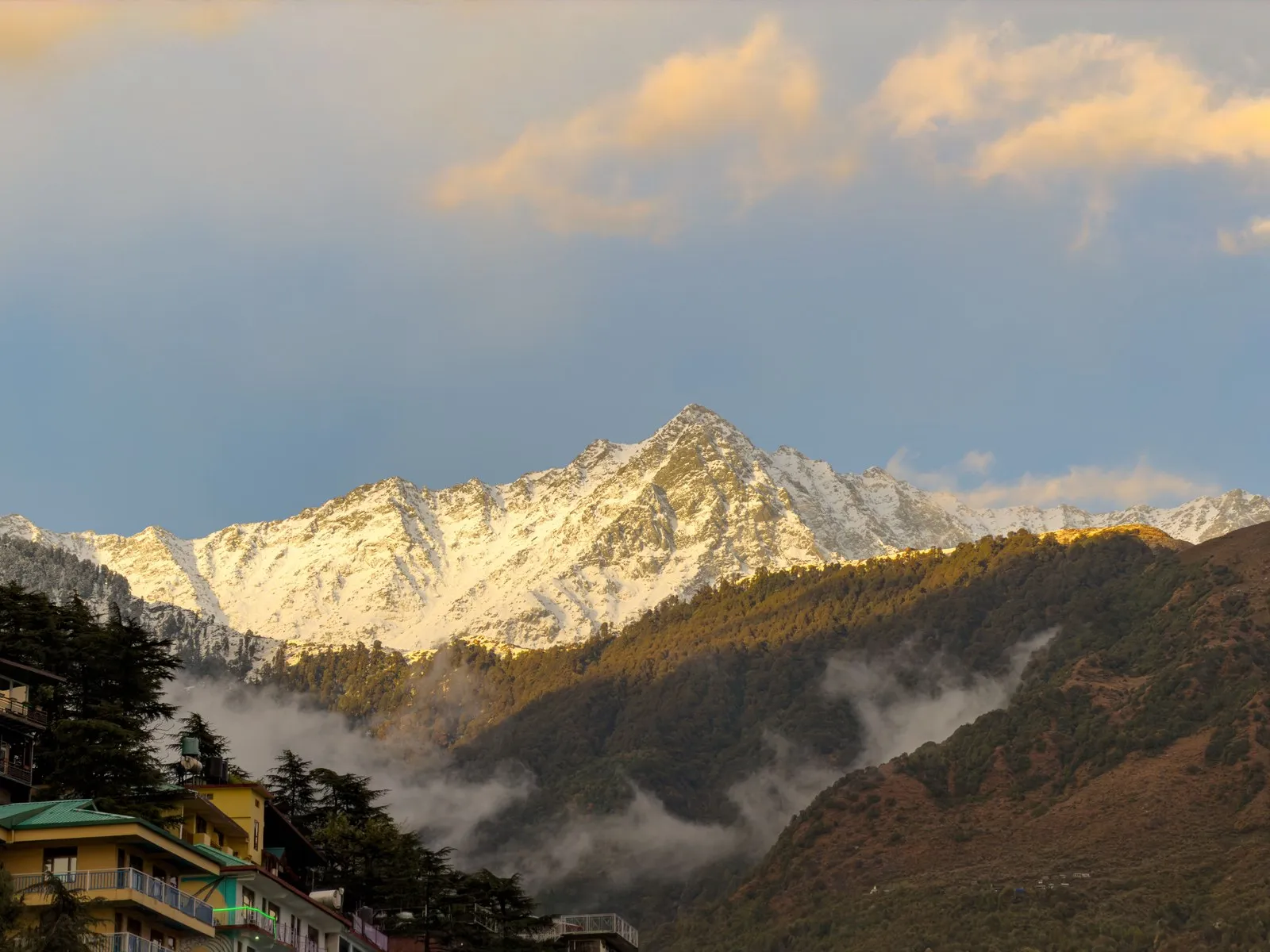 The snows of the Dhauladhar range above Dharamshala