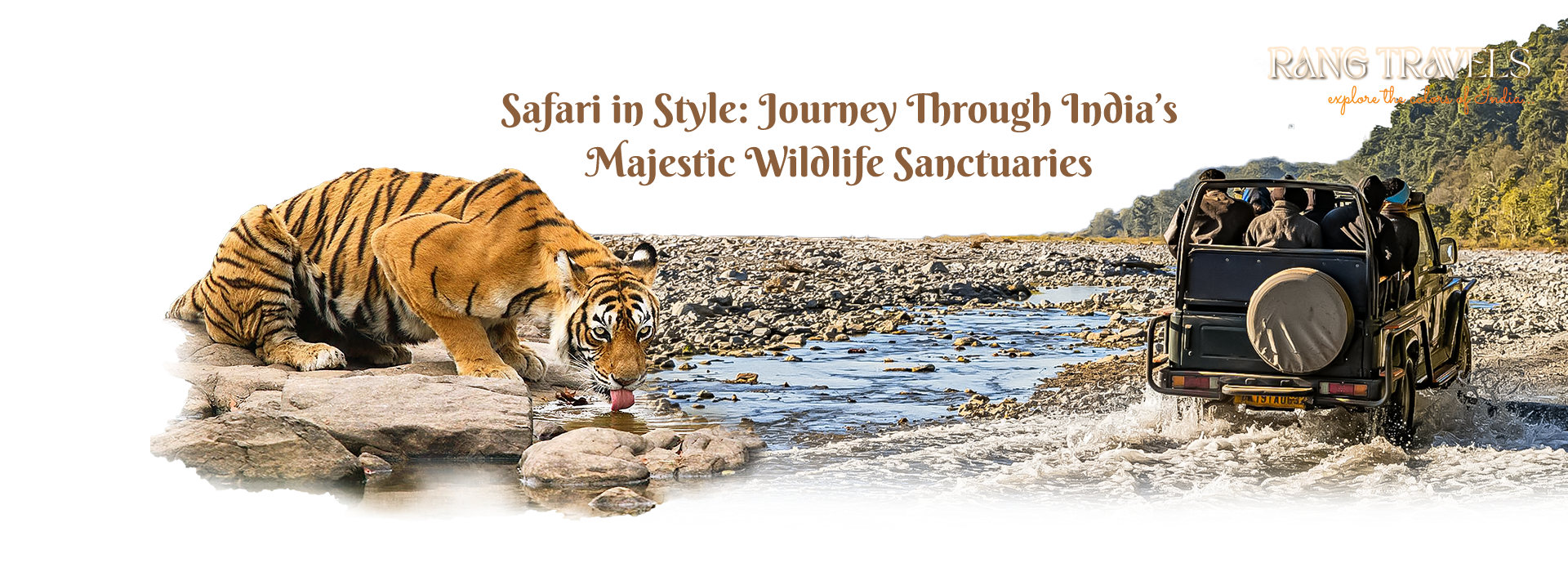 wildlife tour India