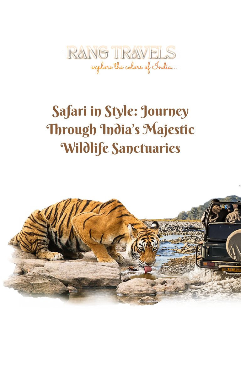wildlife tour India